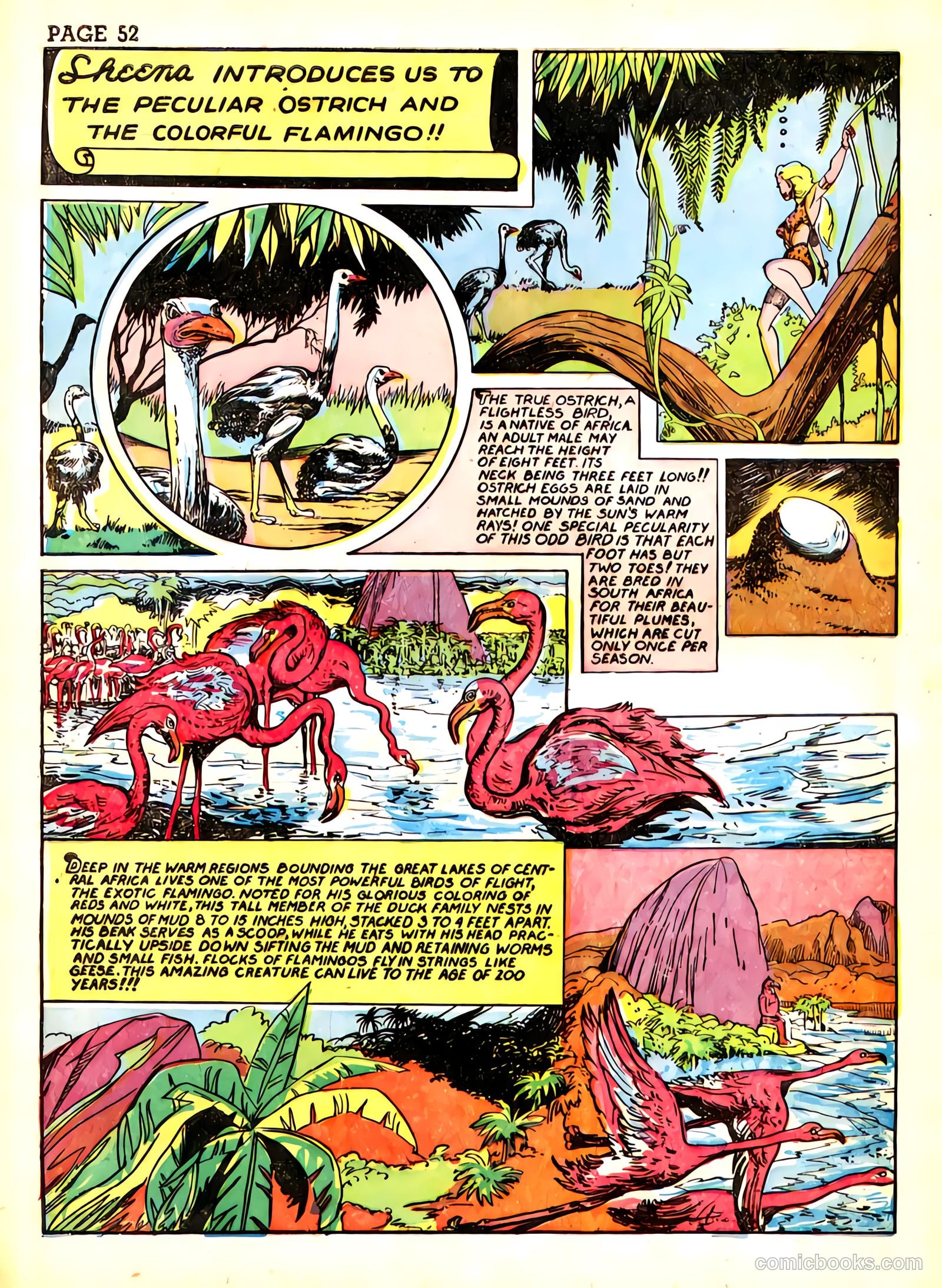 Sheena, Queen of the Jungle #3 — page 55 of 70