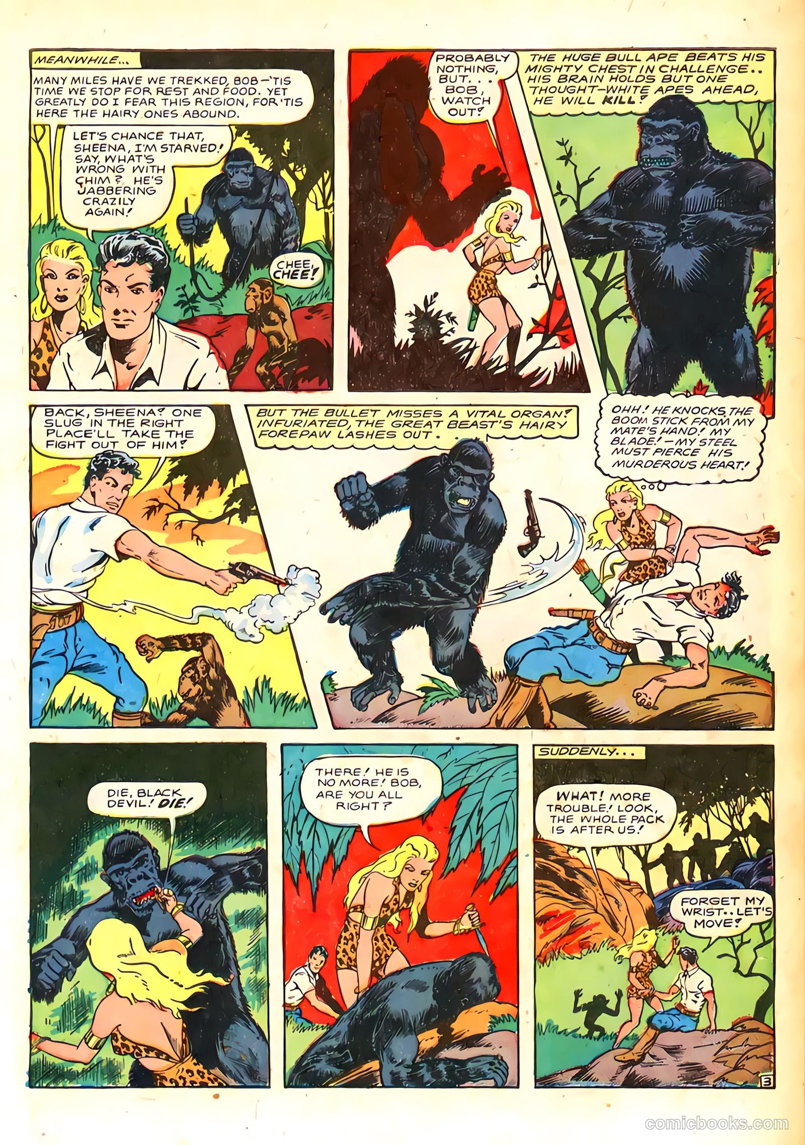 Sheena, Queen of the Jungle #4 — page 6 of 54