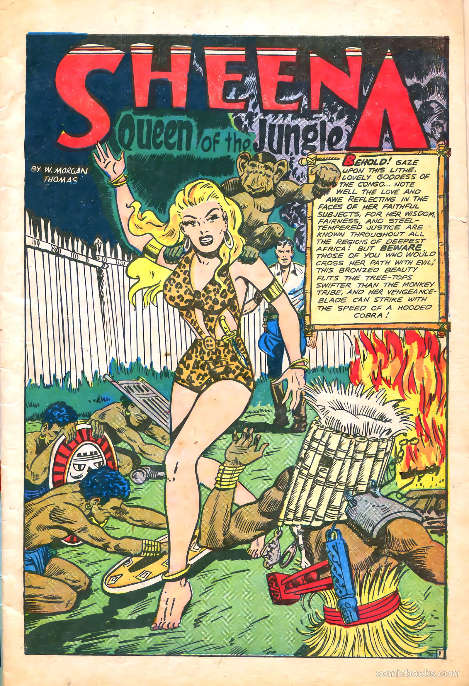 Sheena, Queen of the Jungle #5 — page 3 of 52