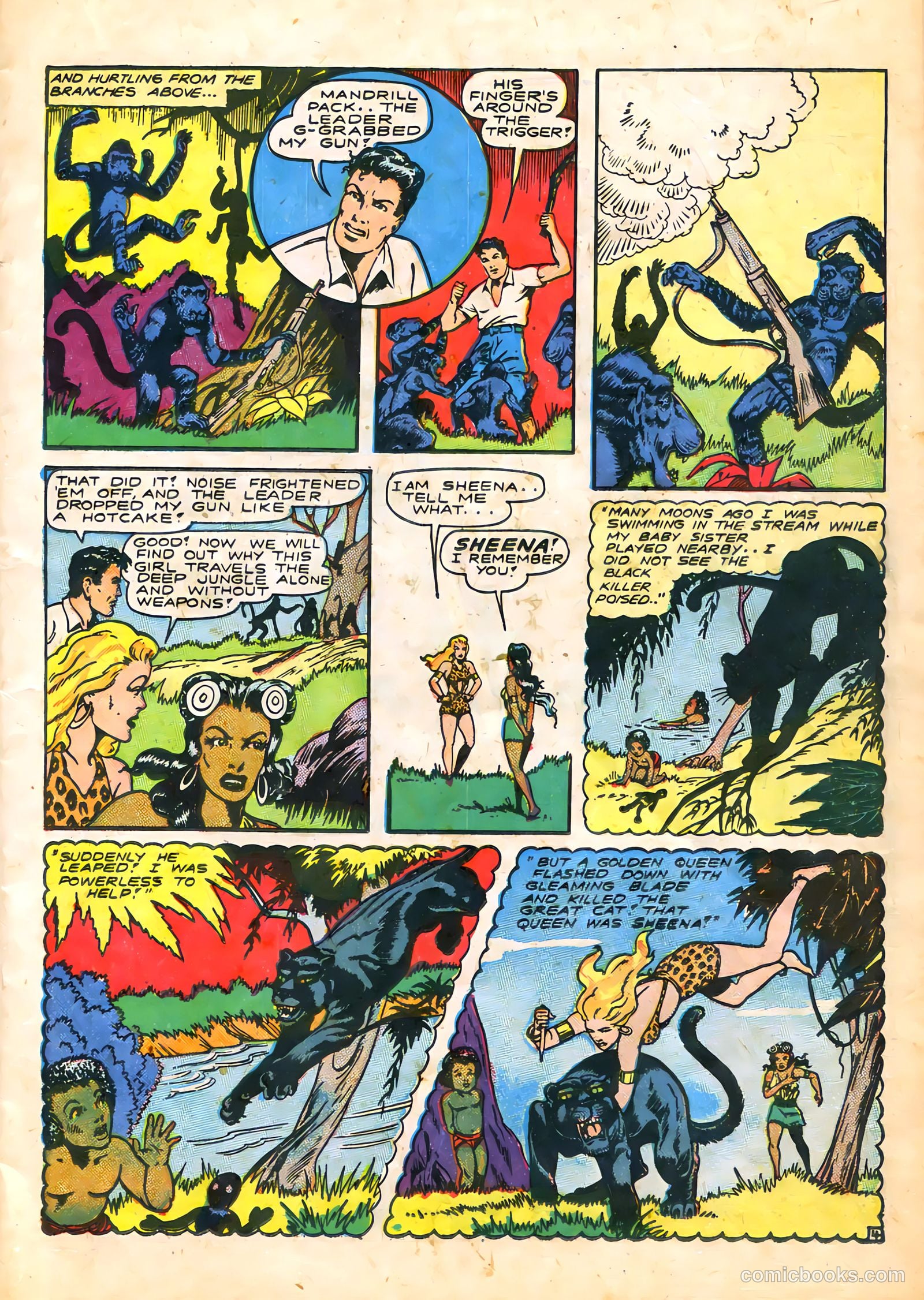 Sheena, Queen of the Jungle #5 — page 17 of 52