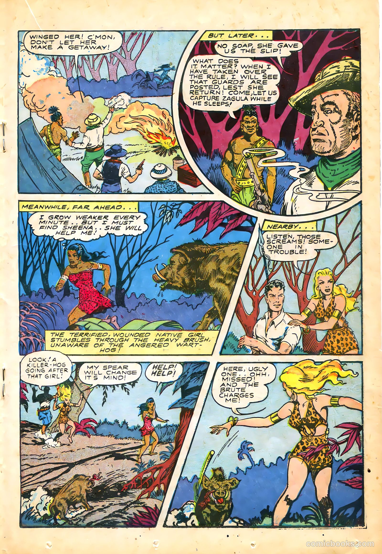 Sheena, Queen of the Jungle #5 — page 29 of 52