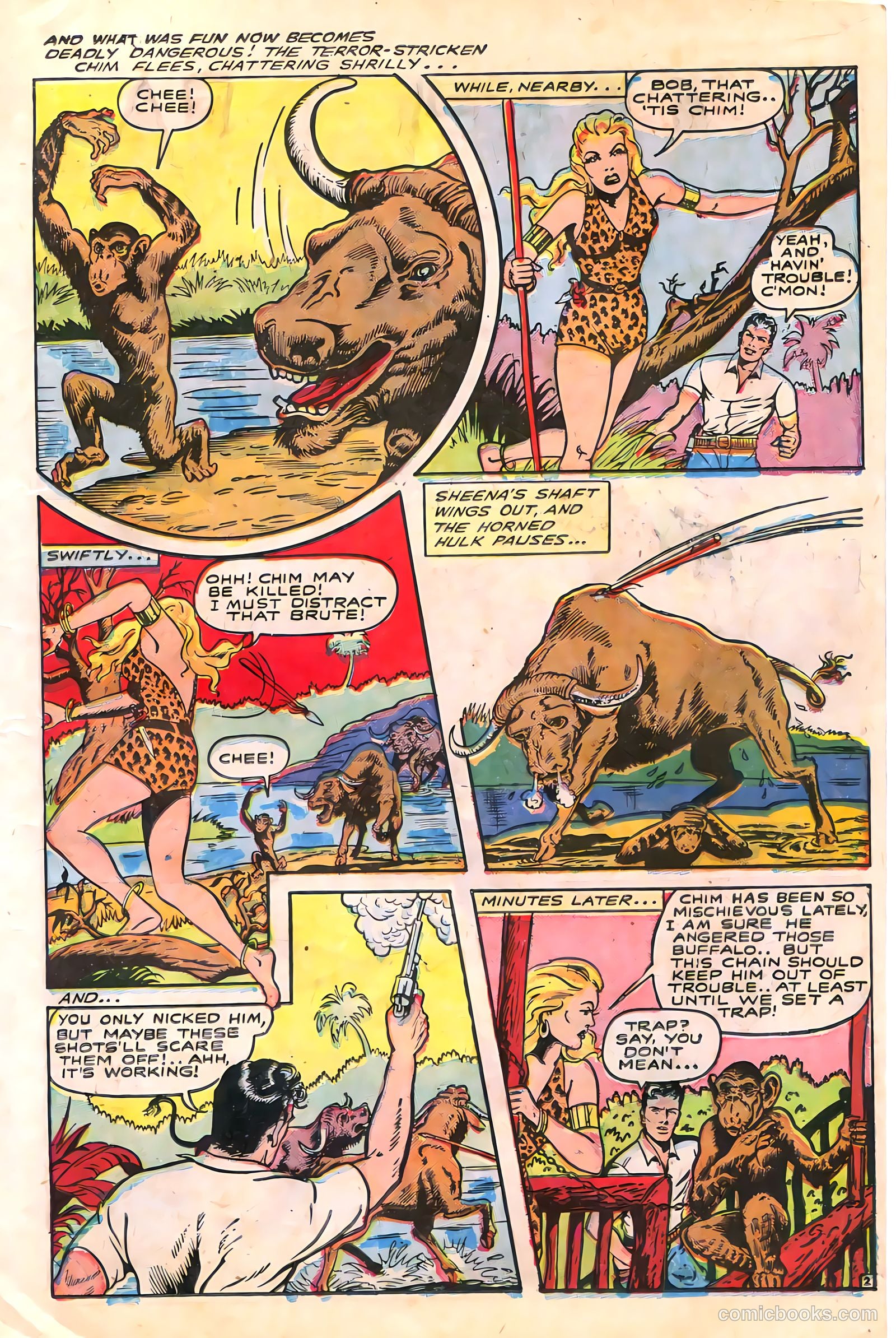 Sheena, Queen of the Jungle #6 — page 15 of 52