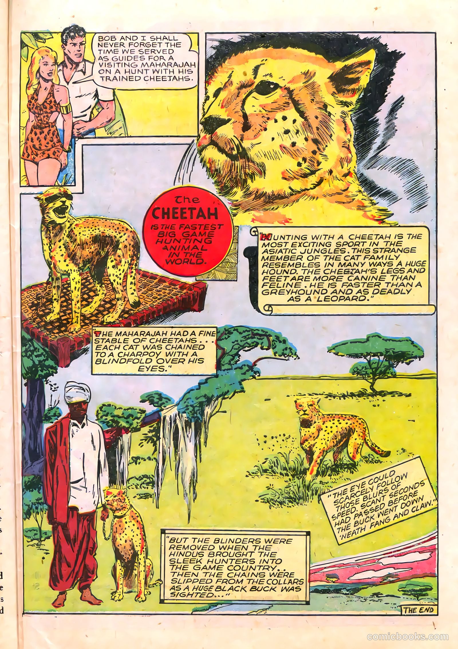 Sheena, Queen of the Jungle #6 — page 39 of 52