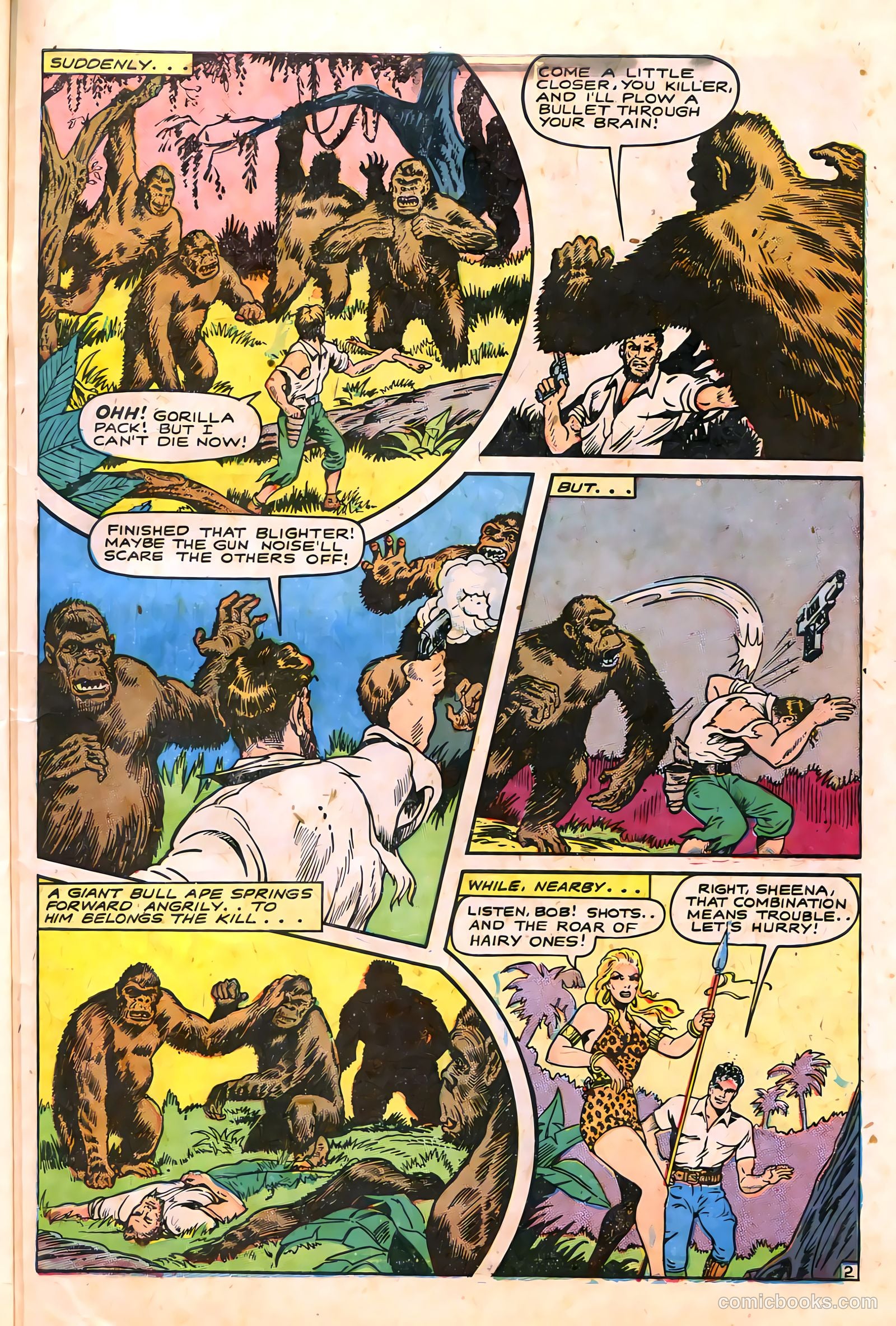 Sheena, Queen of the Jungle #6 — page 41 of 52
