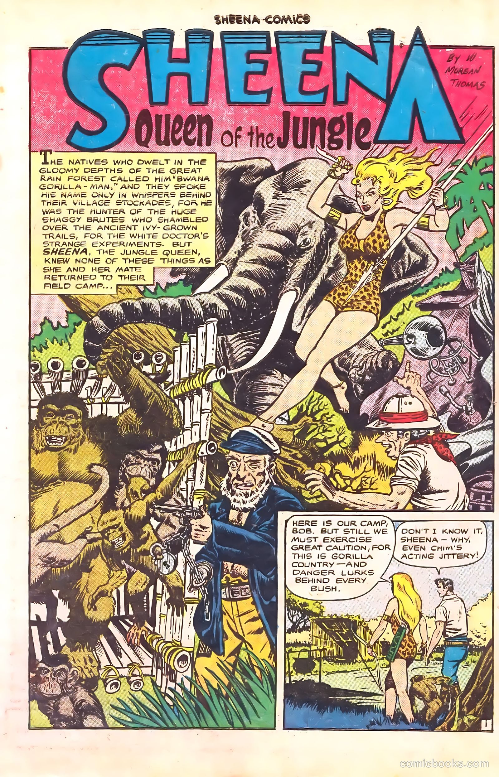 Sheena, Queen of the Jungle #7 — page 3 of 52