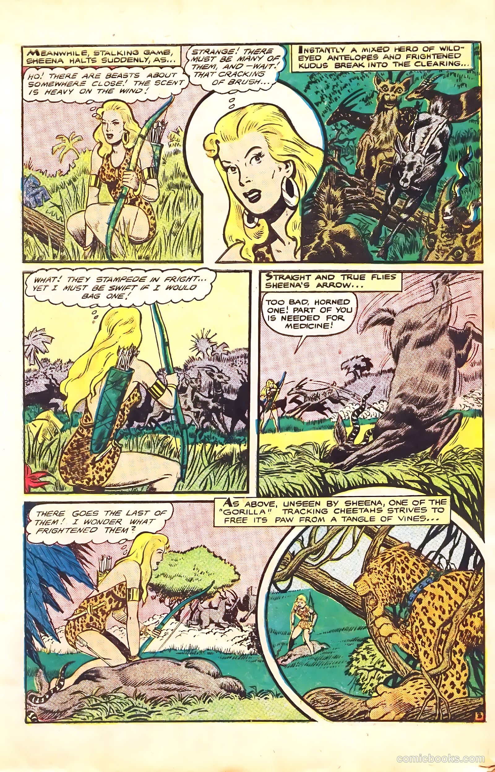 Sheena, Queen of the Jungle #7 — page 5 of 52