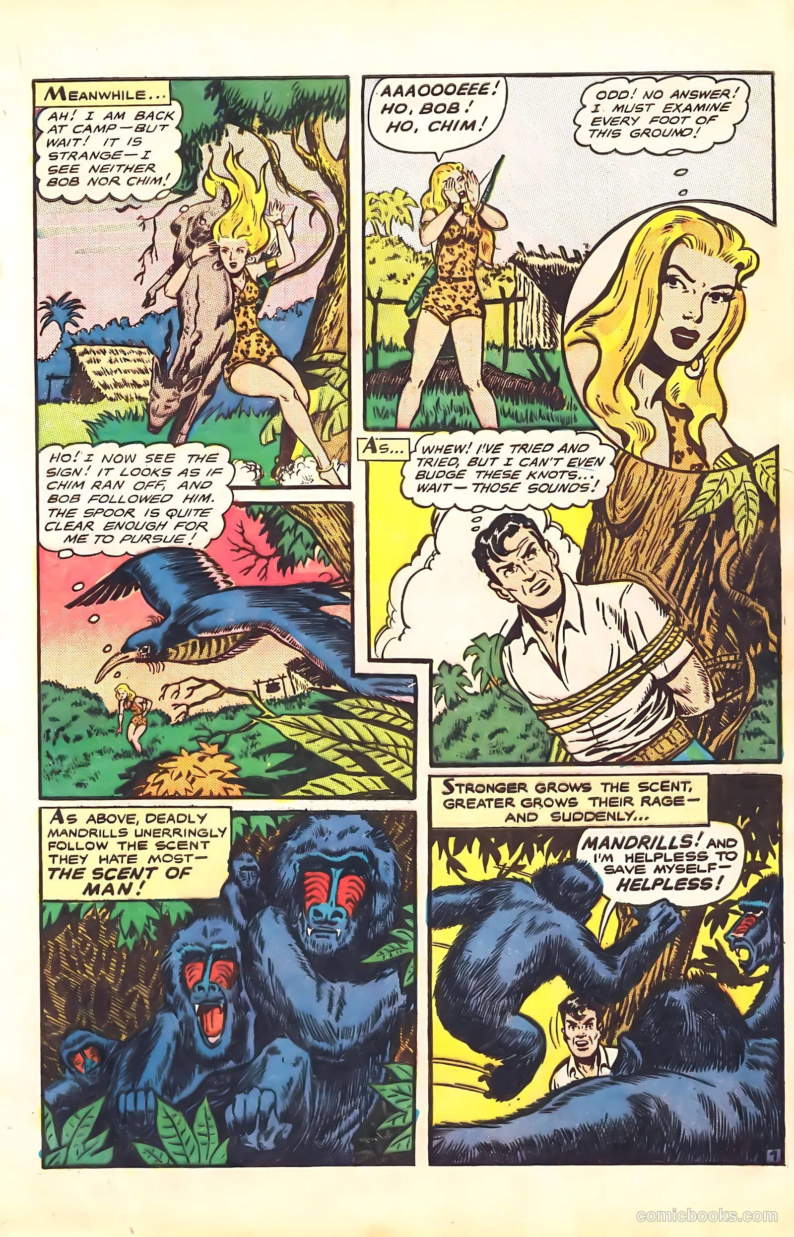 Sheena, Queen of the Jungle #7 — page 9 of 52