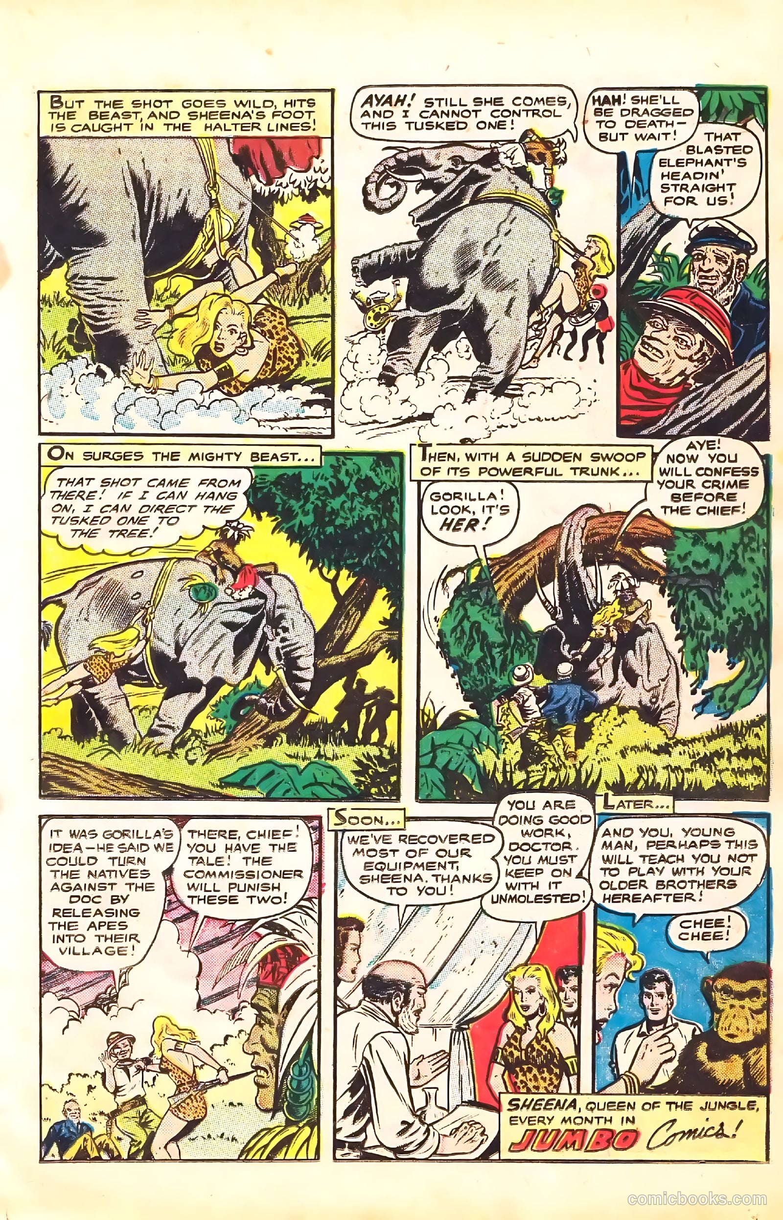 Sheena, Queen of the Jungle #7 — page 17 of 52