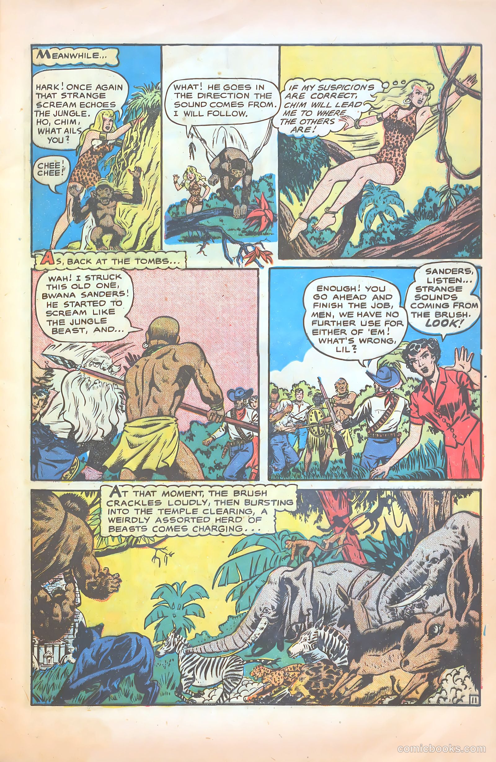 Sheena Queen of the Jungle #8 — page 13 of 36