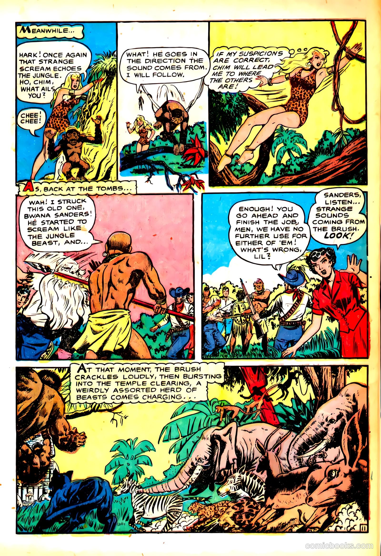 Sheena, Queen of the Jungle #8 — page 14 of 37