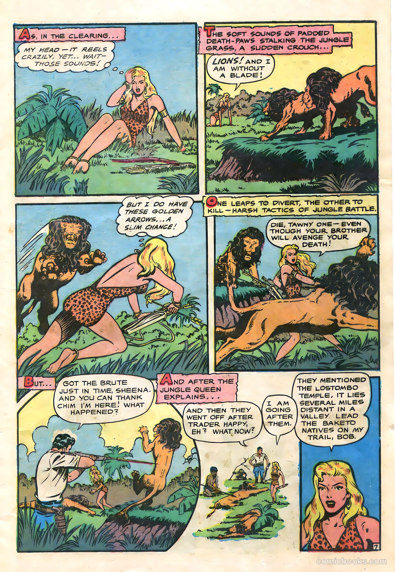 Sheena, Queen of the Jungle #9 — page 9 of 36