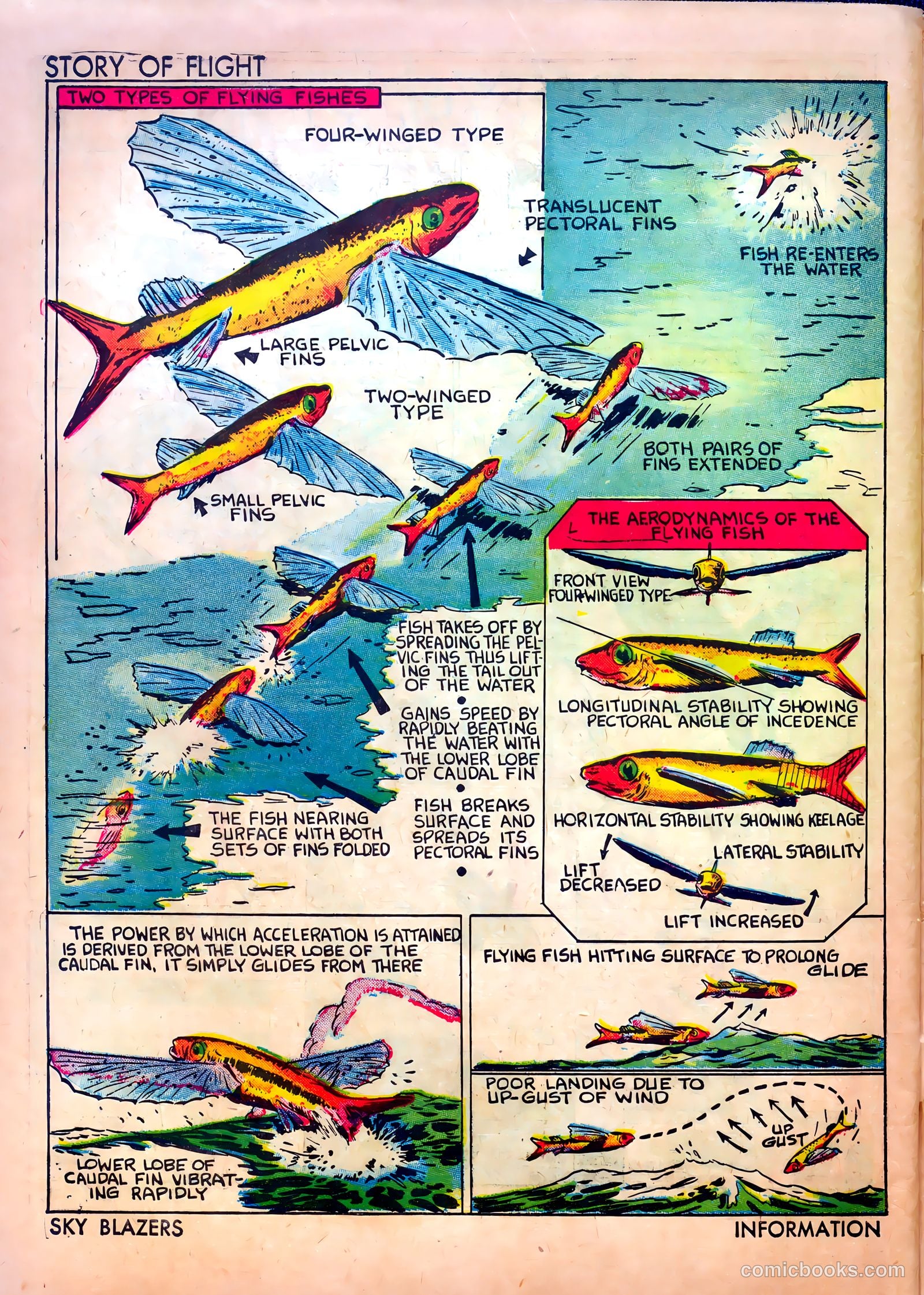 Sky Blazers #1 — page 58 of 68