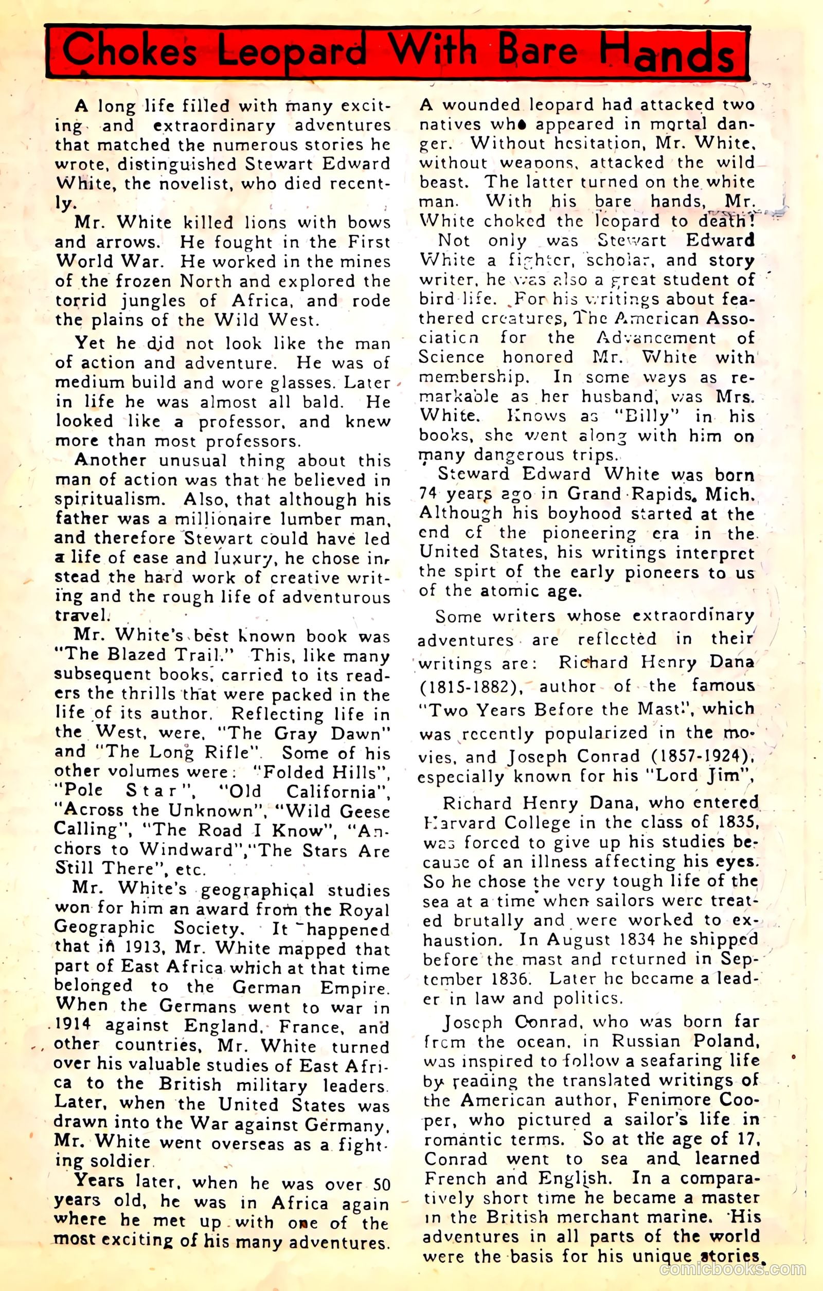 Sparkling Stars #24 — page 43 of 68