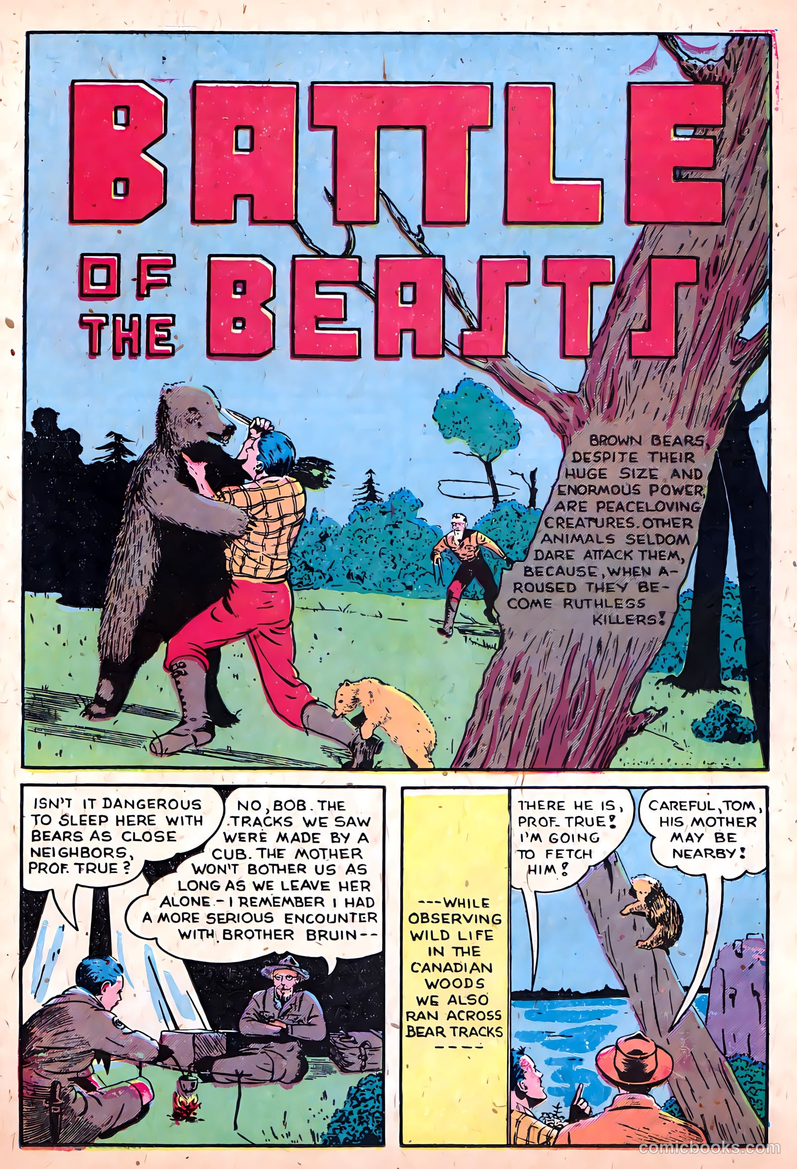 Sparkling Stars #27 — page 41 of 68