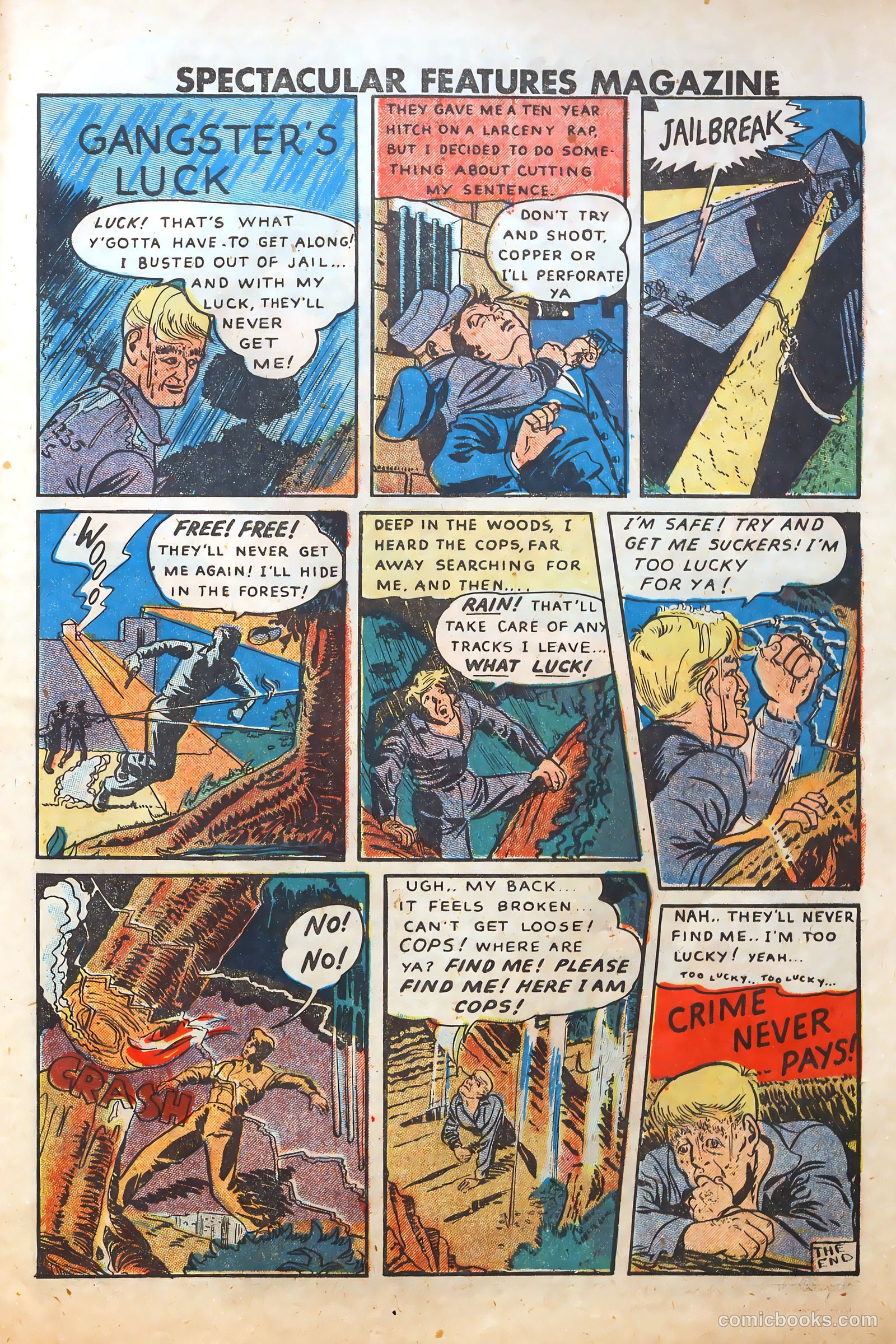 Spectacular Features Magazine #3 — page 29 of 36