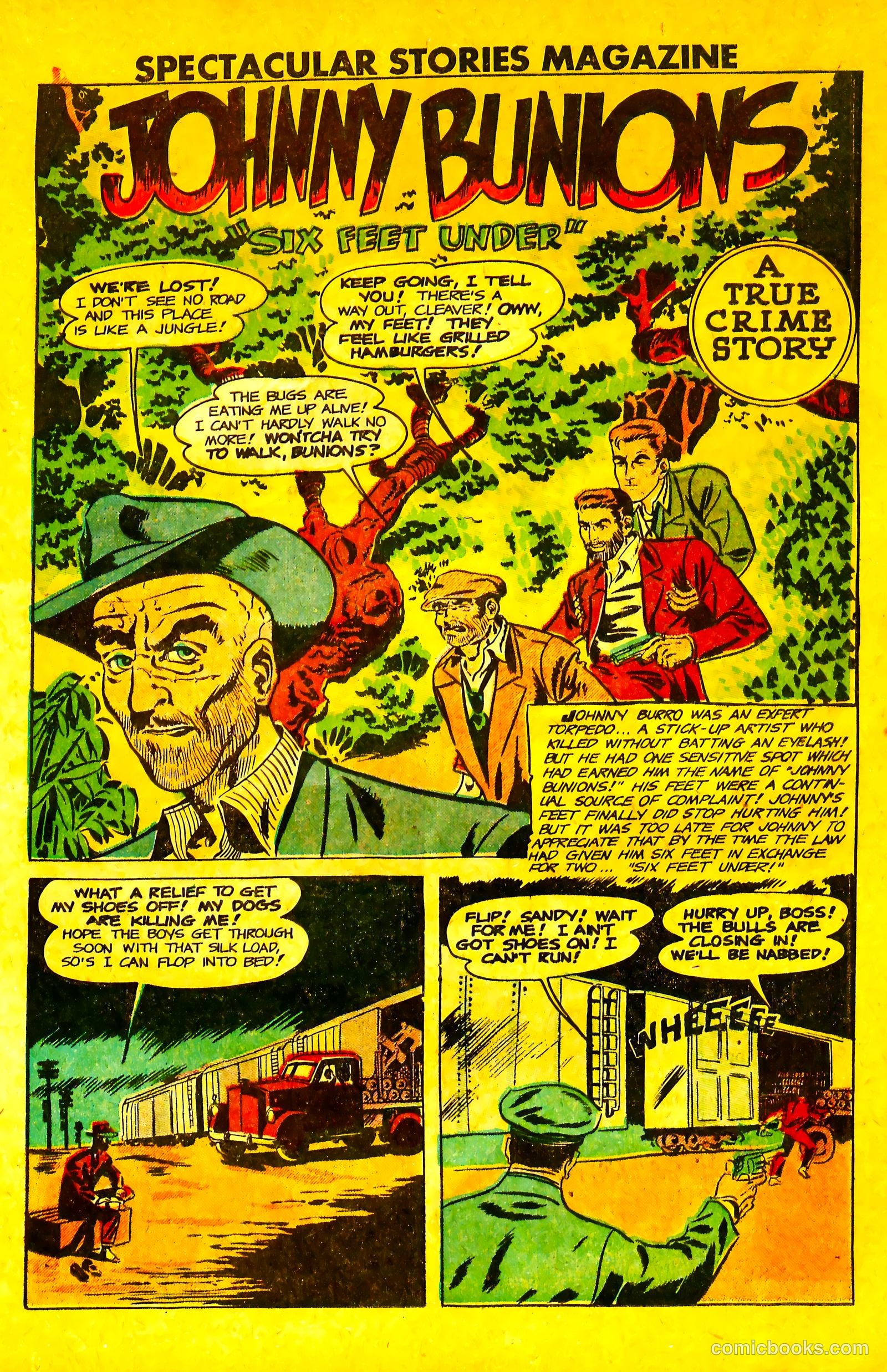 Spectacular Stories Magazine #3 — page 25 of 36
