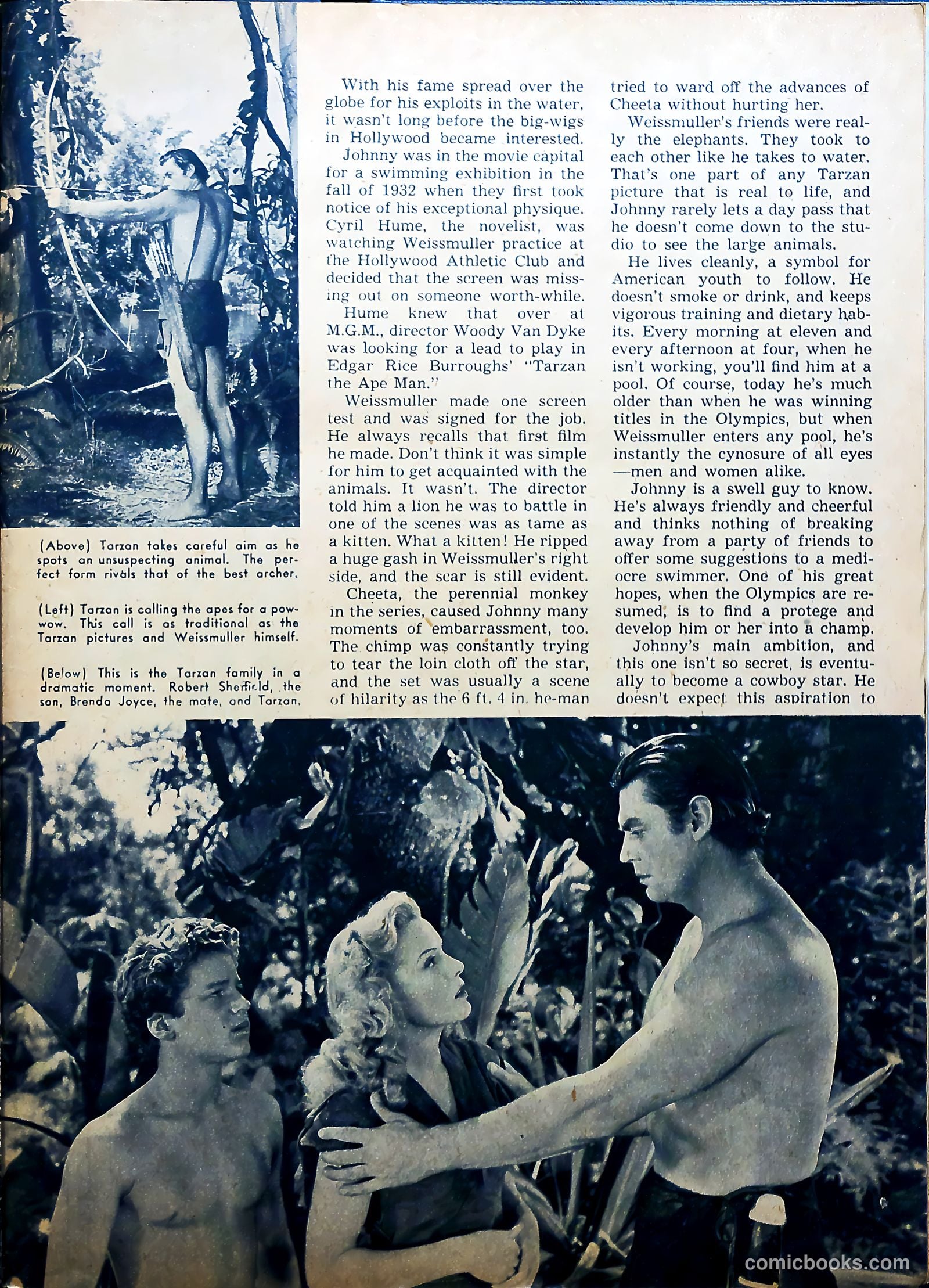 Sport Stars #1 — page 30 of 56