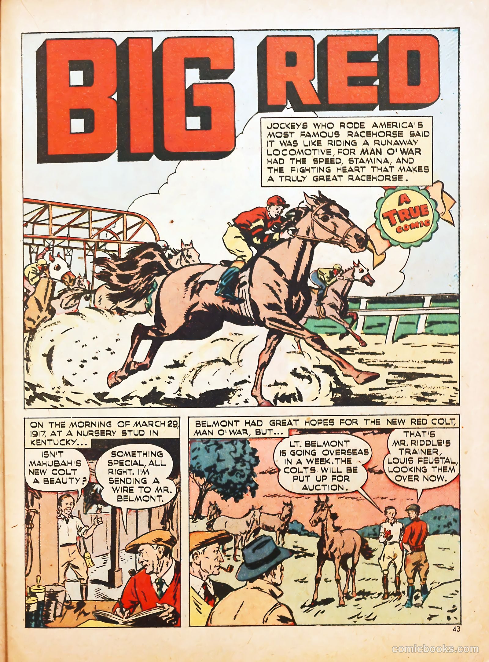 Sport Stars #3 — page 42 of 59