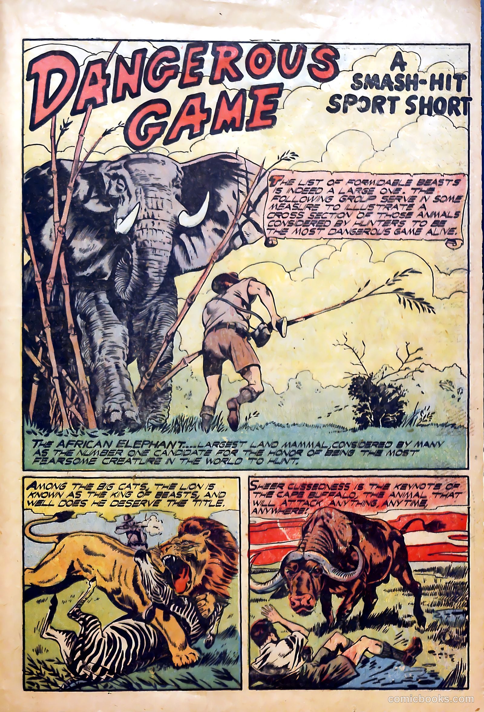 Sport Thrills #13 — page 25 of 36