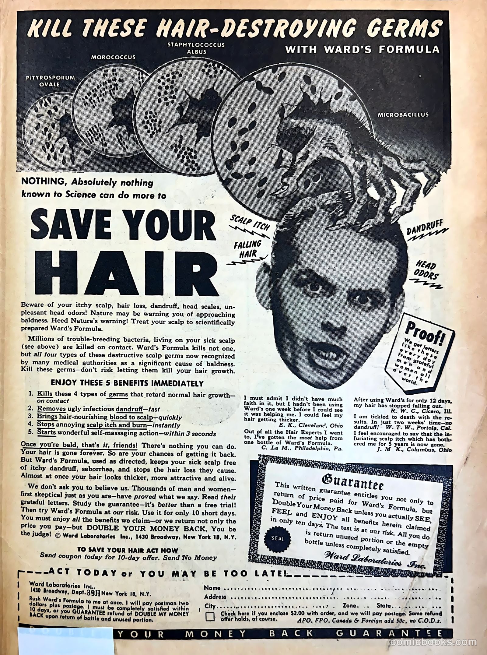 Sport Thrills #15 — page 35 of 36