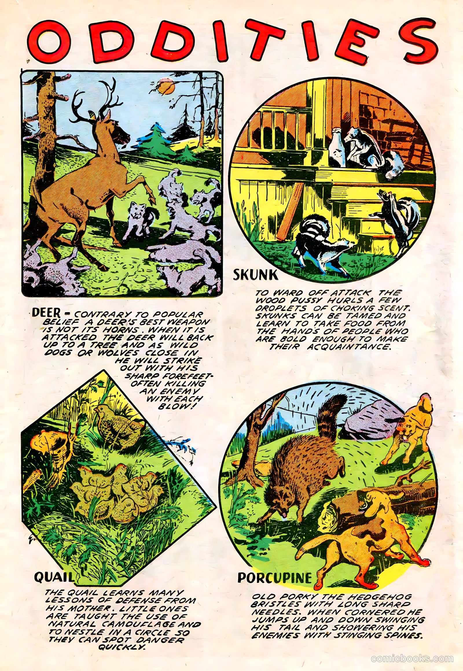 Spotlight Comics #1 — page 35 of 52