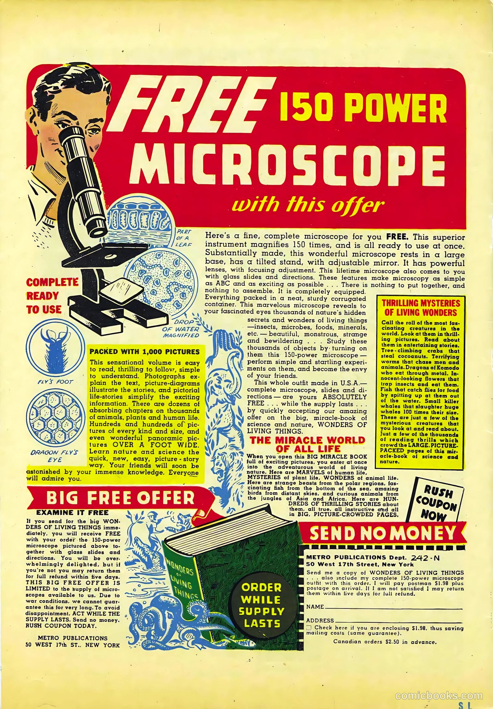Spotlight Comics #1 — page 52 of 52