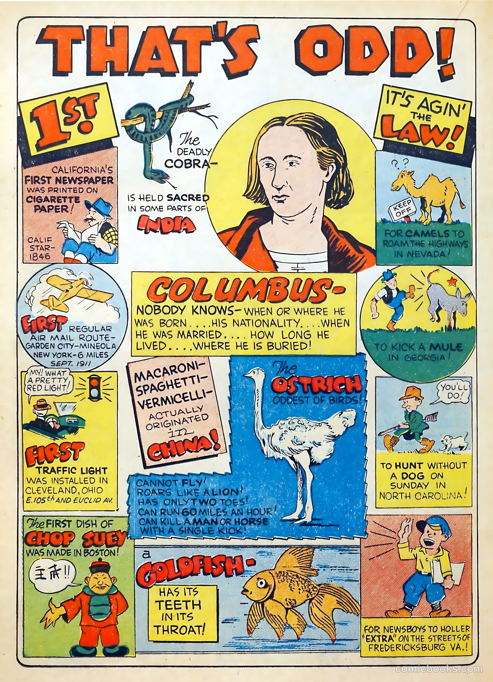 Spotlight Comics #2 — page 28 of 50