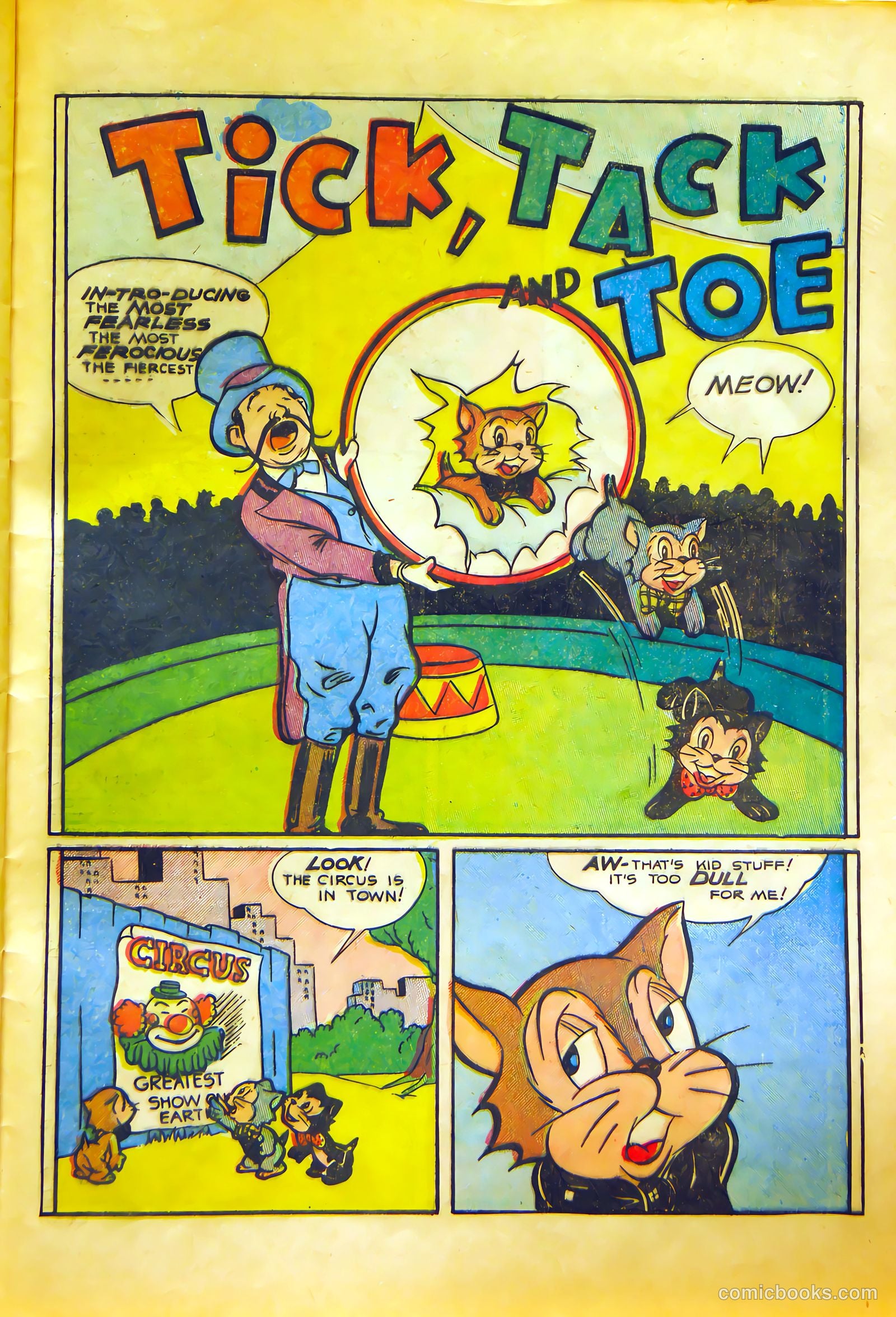 Spunky #1 — page 27 of 36