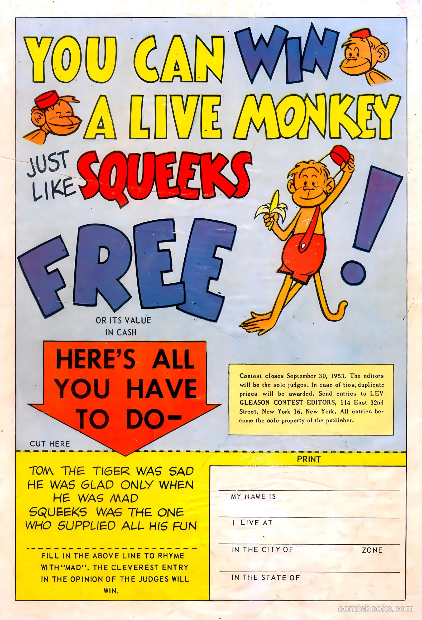 Squeeks #1 — page 36 of 36
