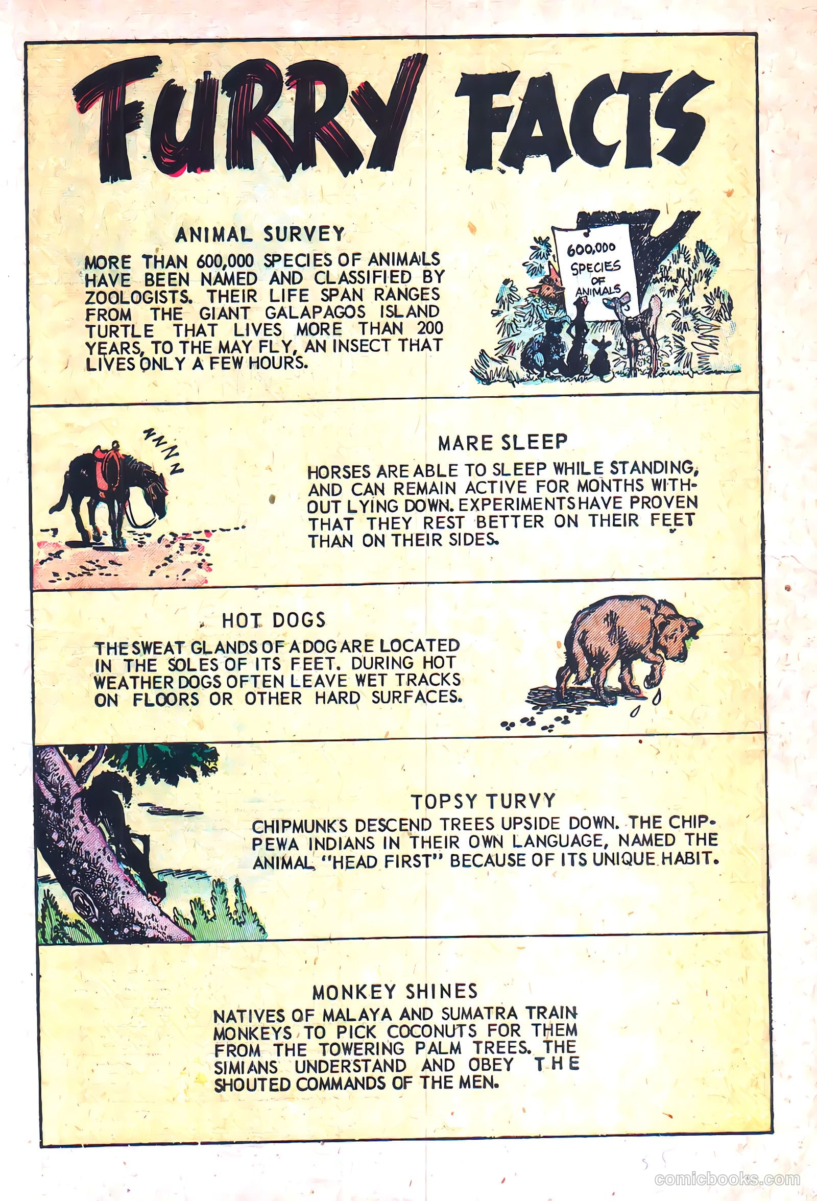 Squeeks #3 — page 19 of 36