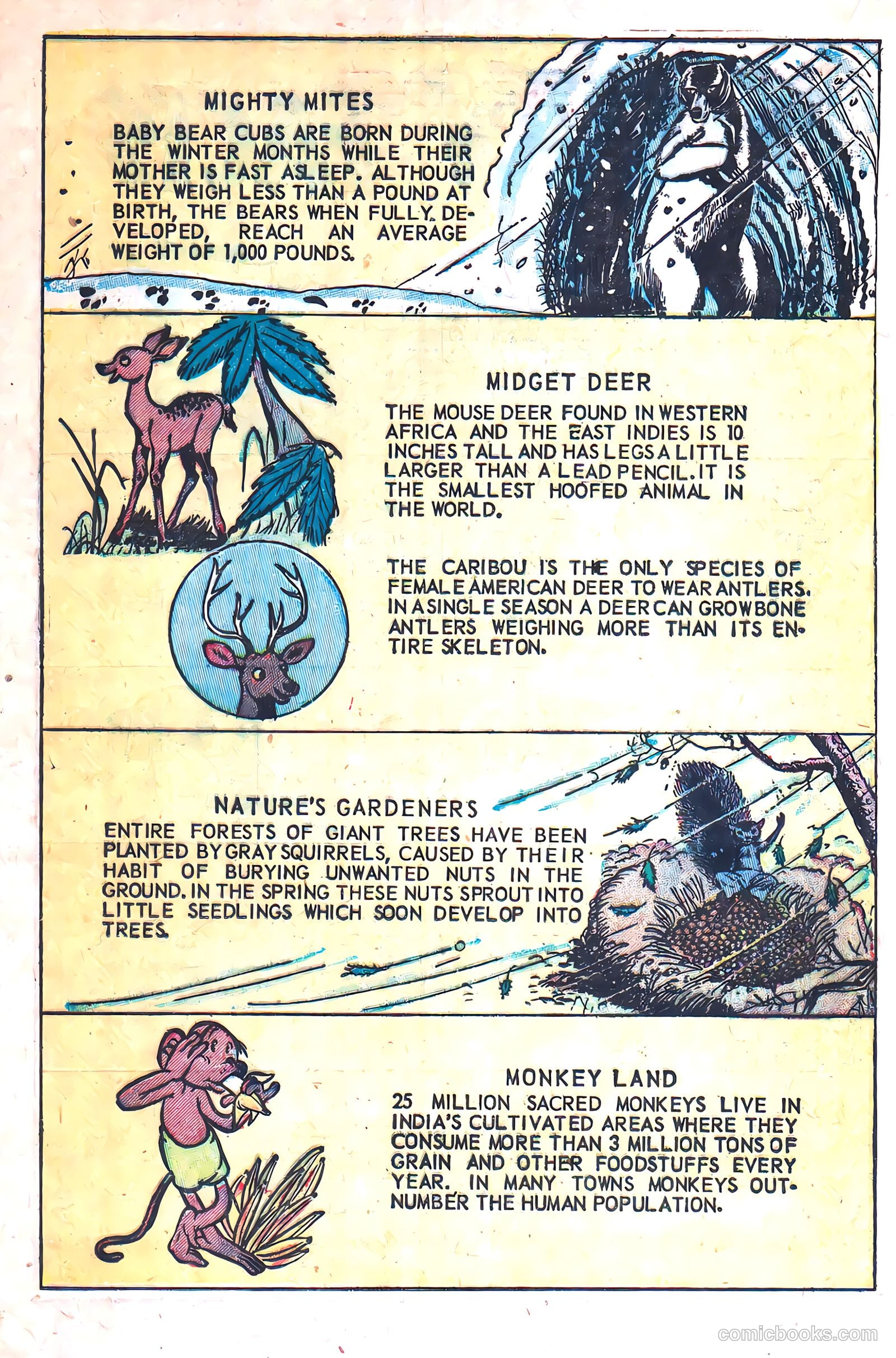 Squeeks #3 — page 20 of 36