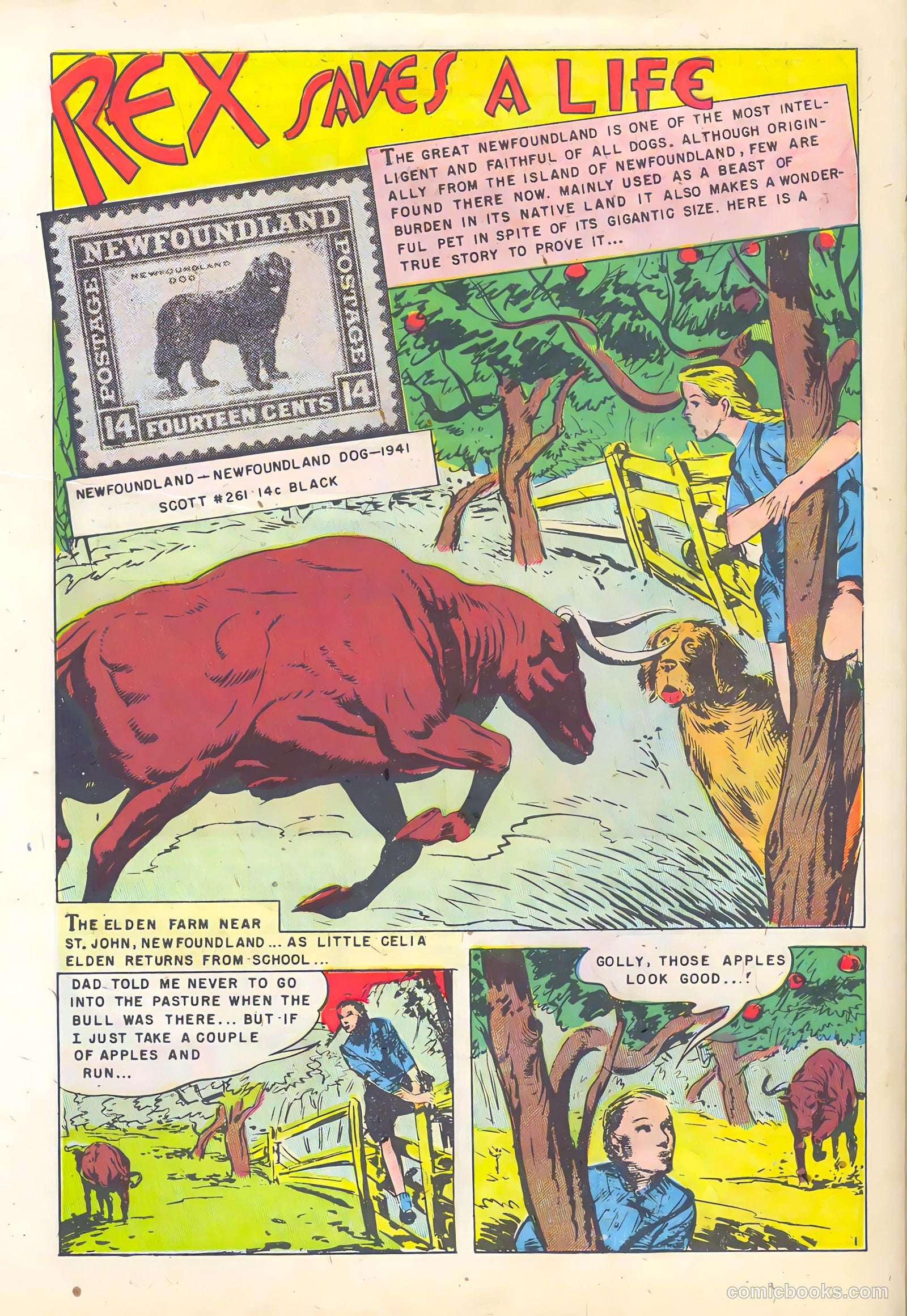 Stamp Comics #7 — page 30 of 36
