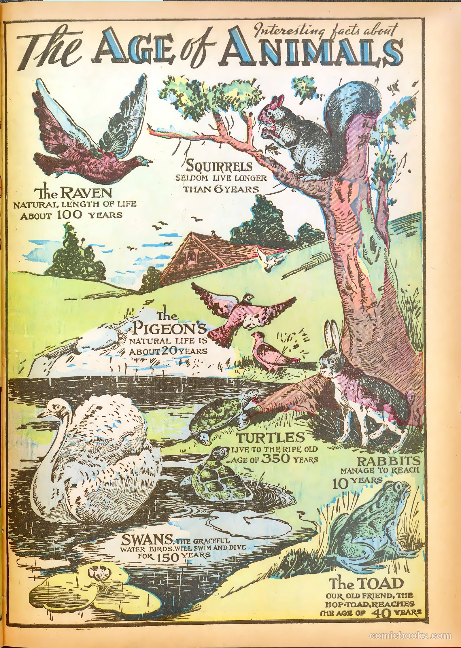 Star Comics #1 — page 13 of 67