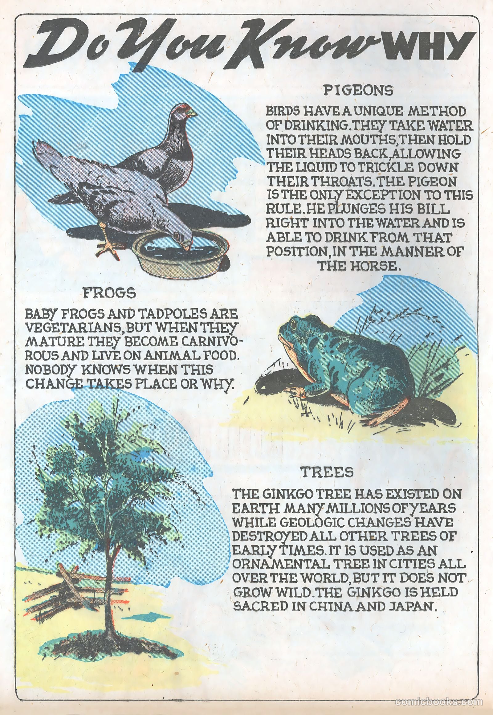 Star Comics #10 — page 7 of 63