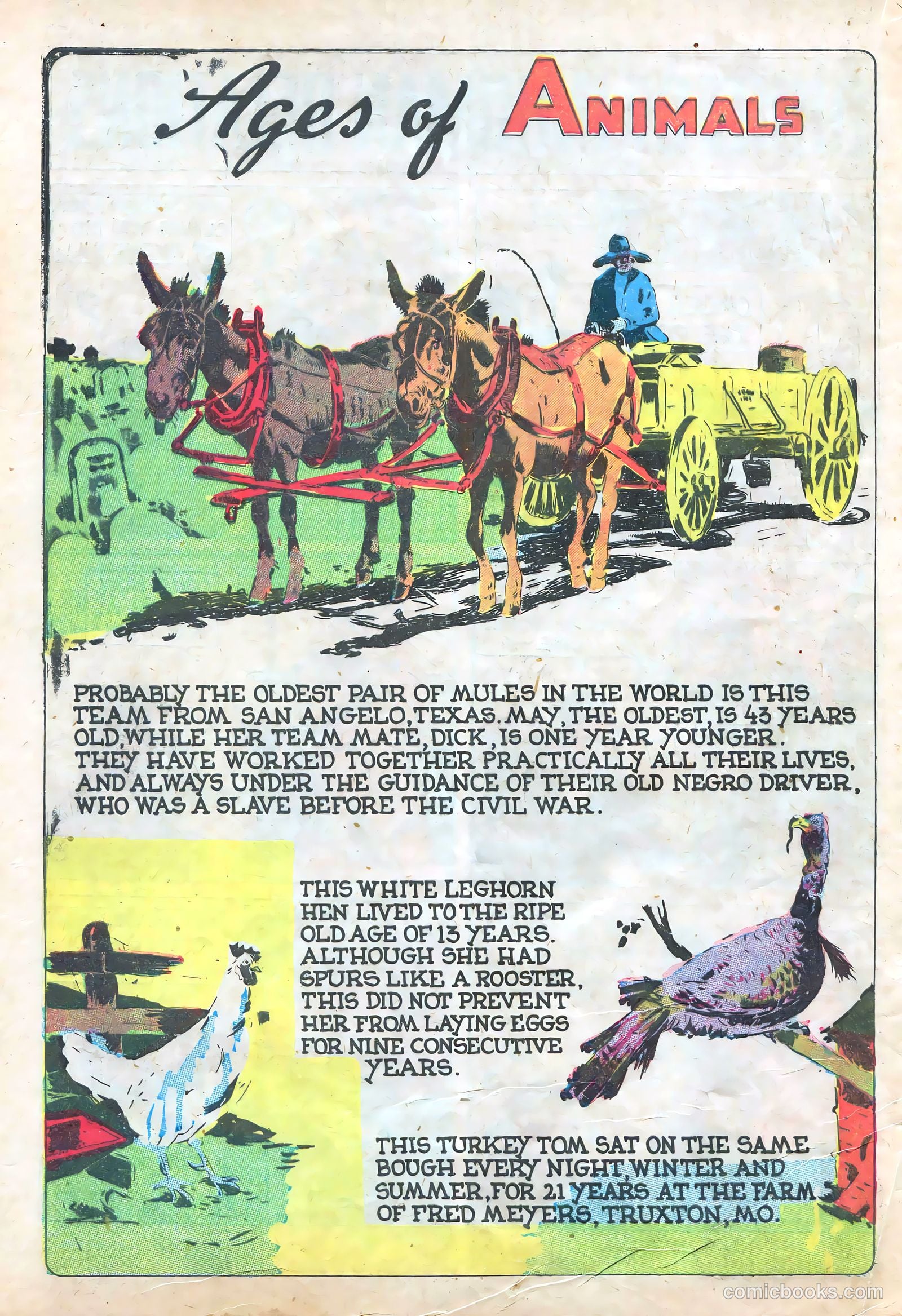 Star Comics #11 — page 47 of 60