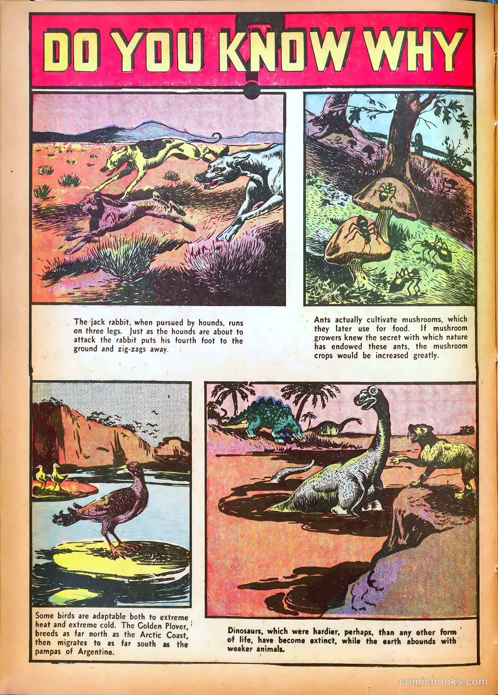 Star Comics #2 — page 63 of 68