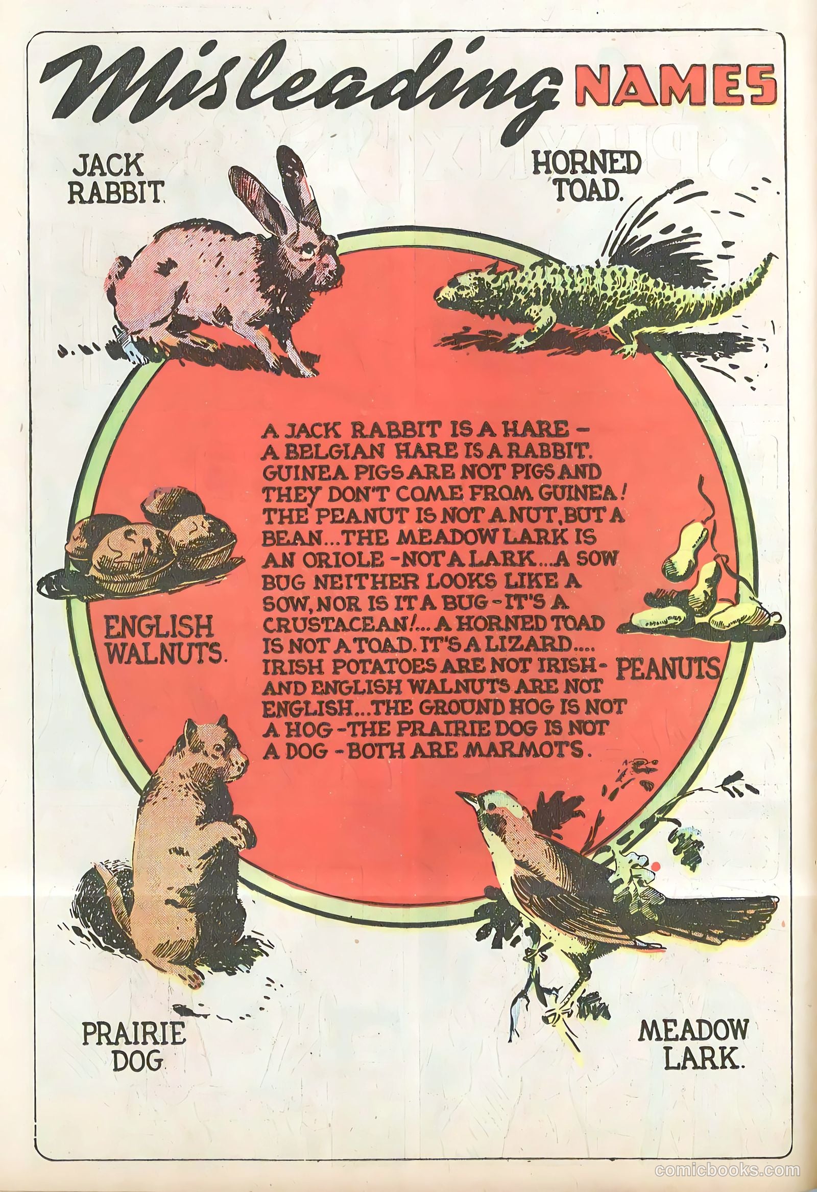 Star Comics #9 — page 26 of 62
