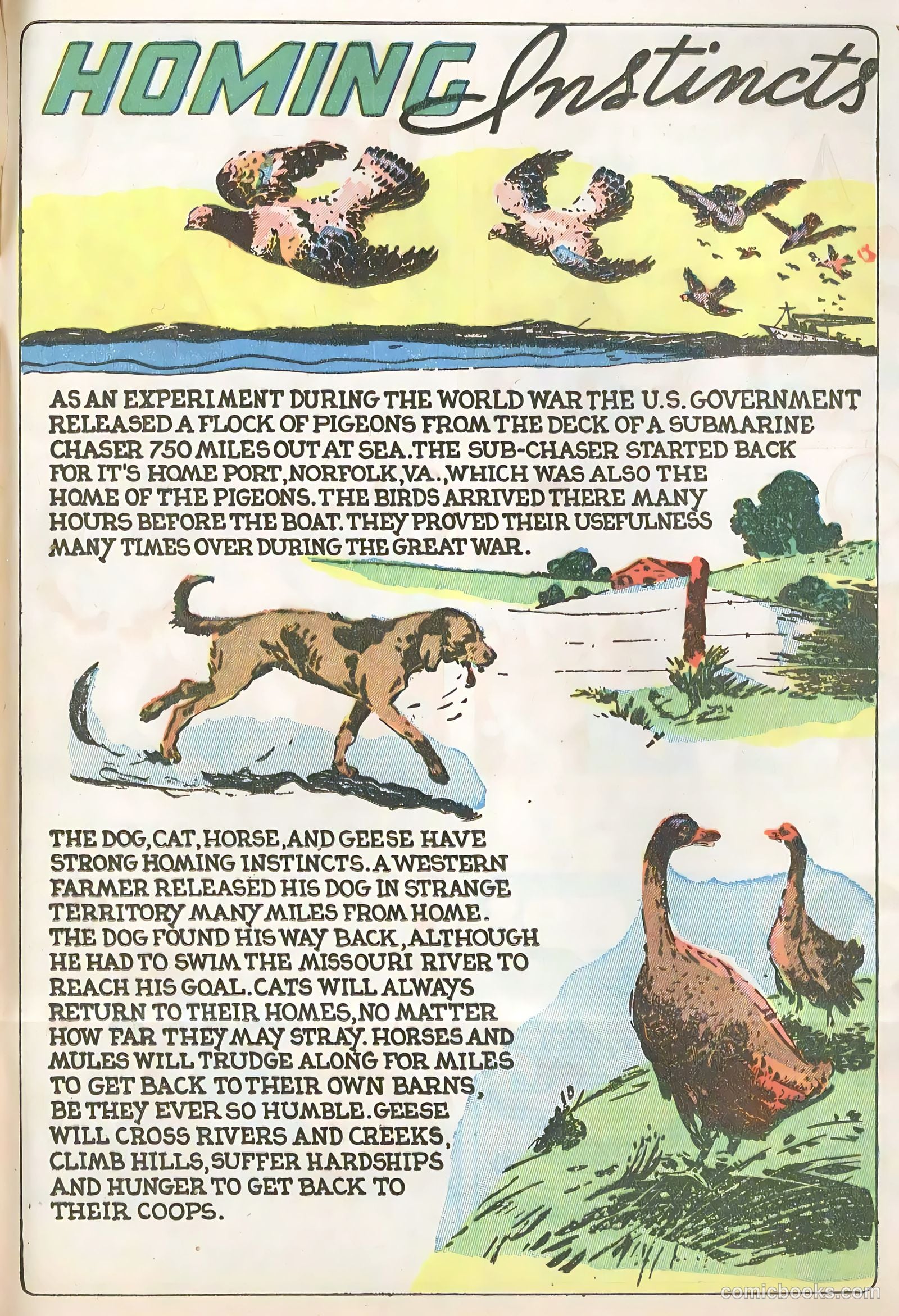 Star Comics #9 — page 57 of 62