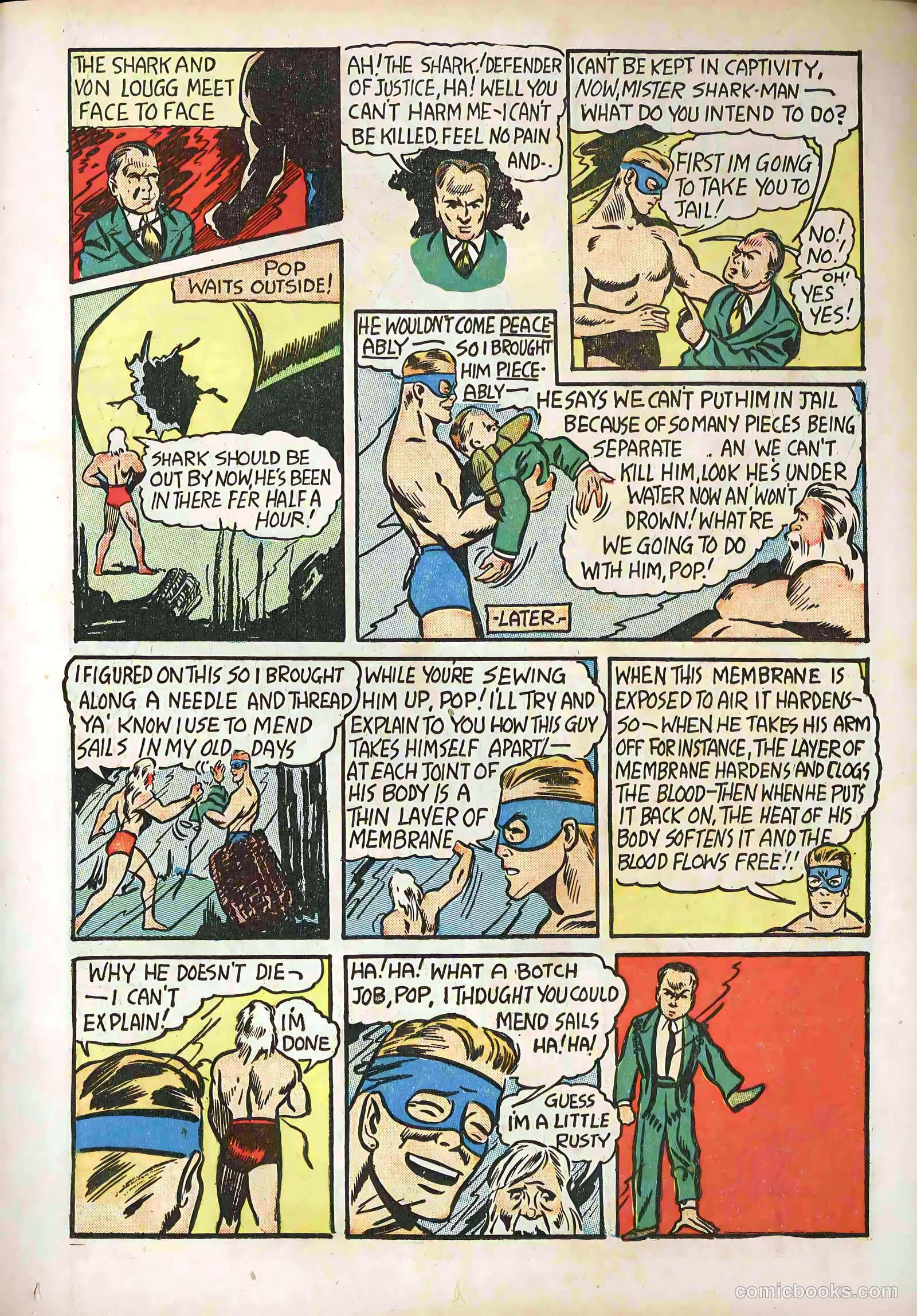 Stars and Stripes Comics #2 — page 29 of 68