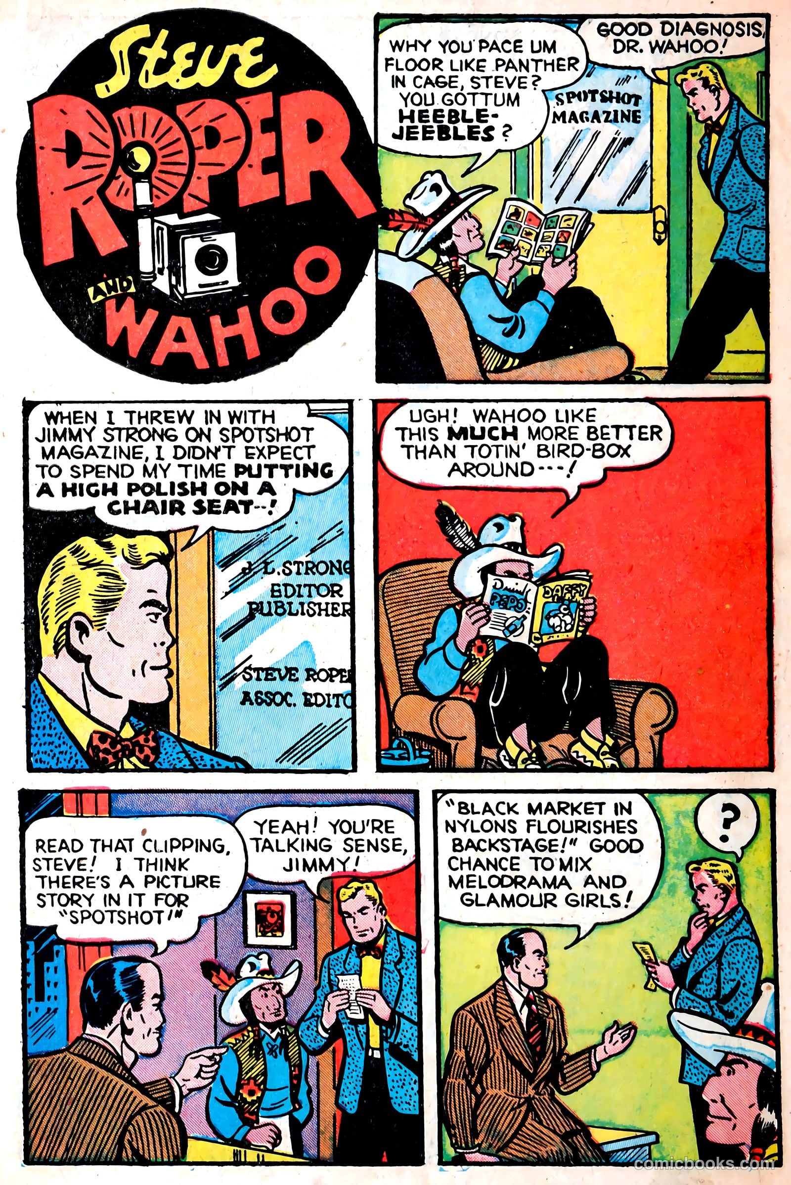 Steve Roper #2 — page 3 of 52