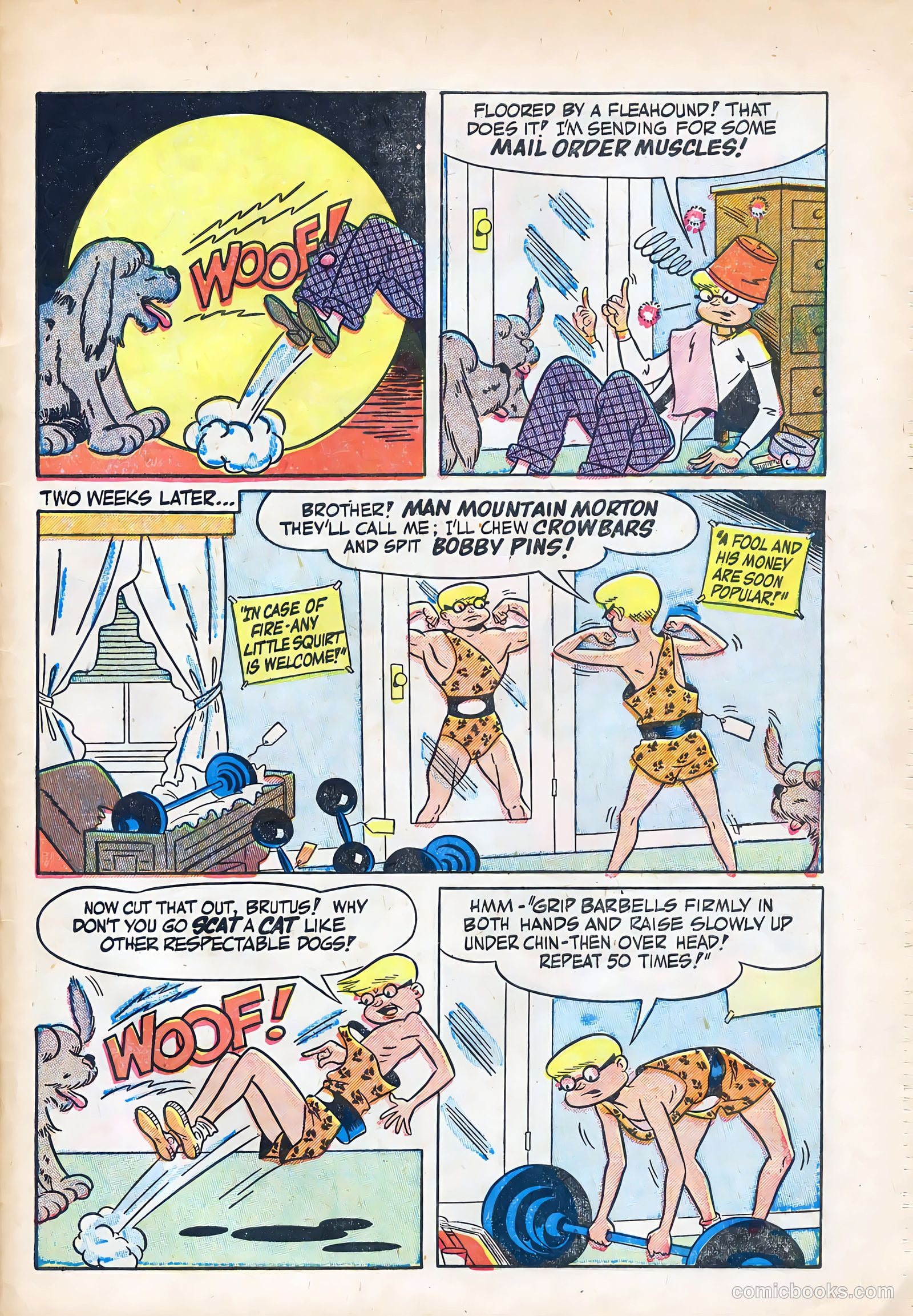 Stevie #3 — page 29 of 36