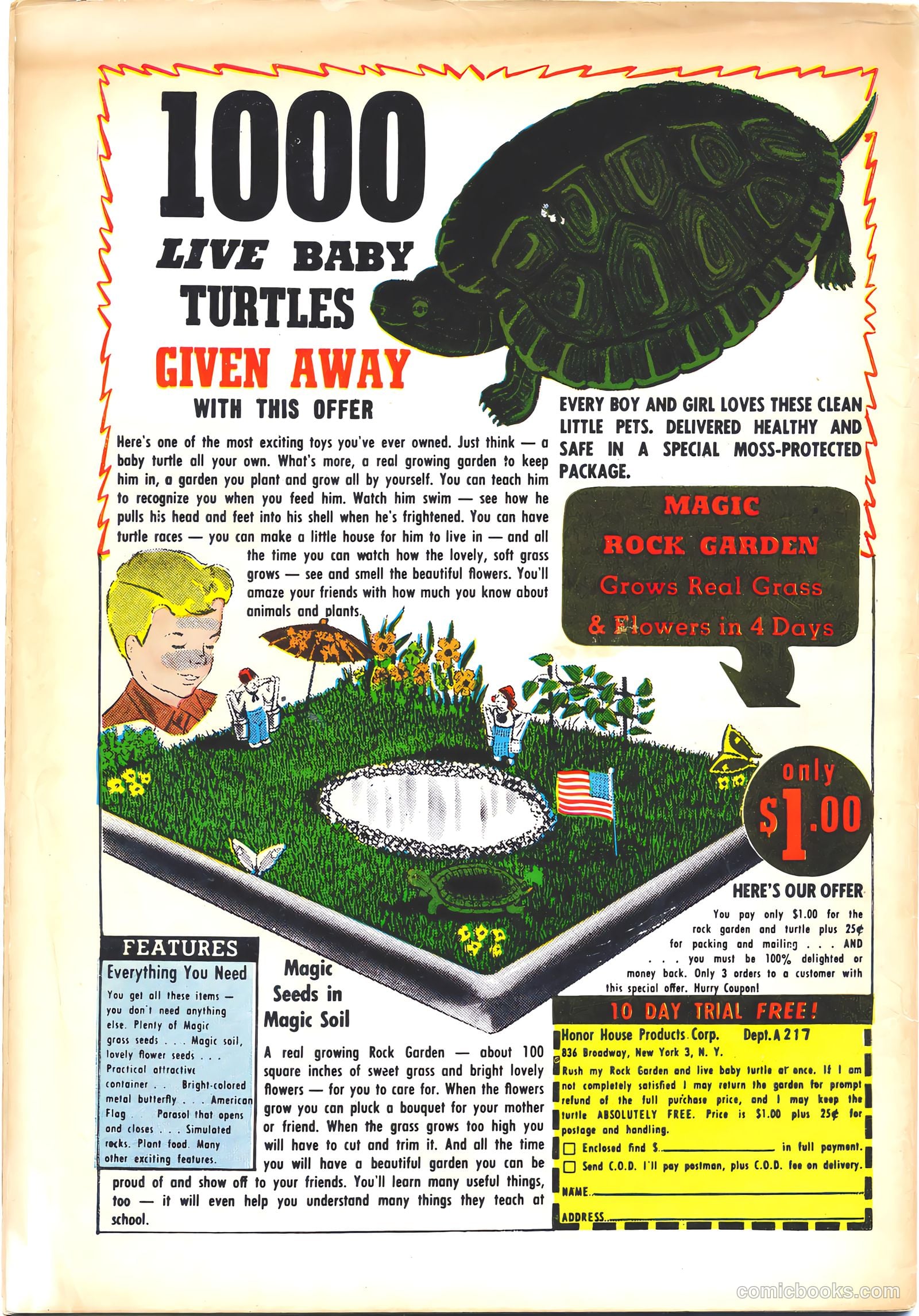 Stevie #3 — page 36 of 36