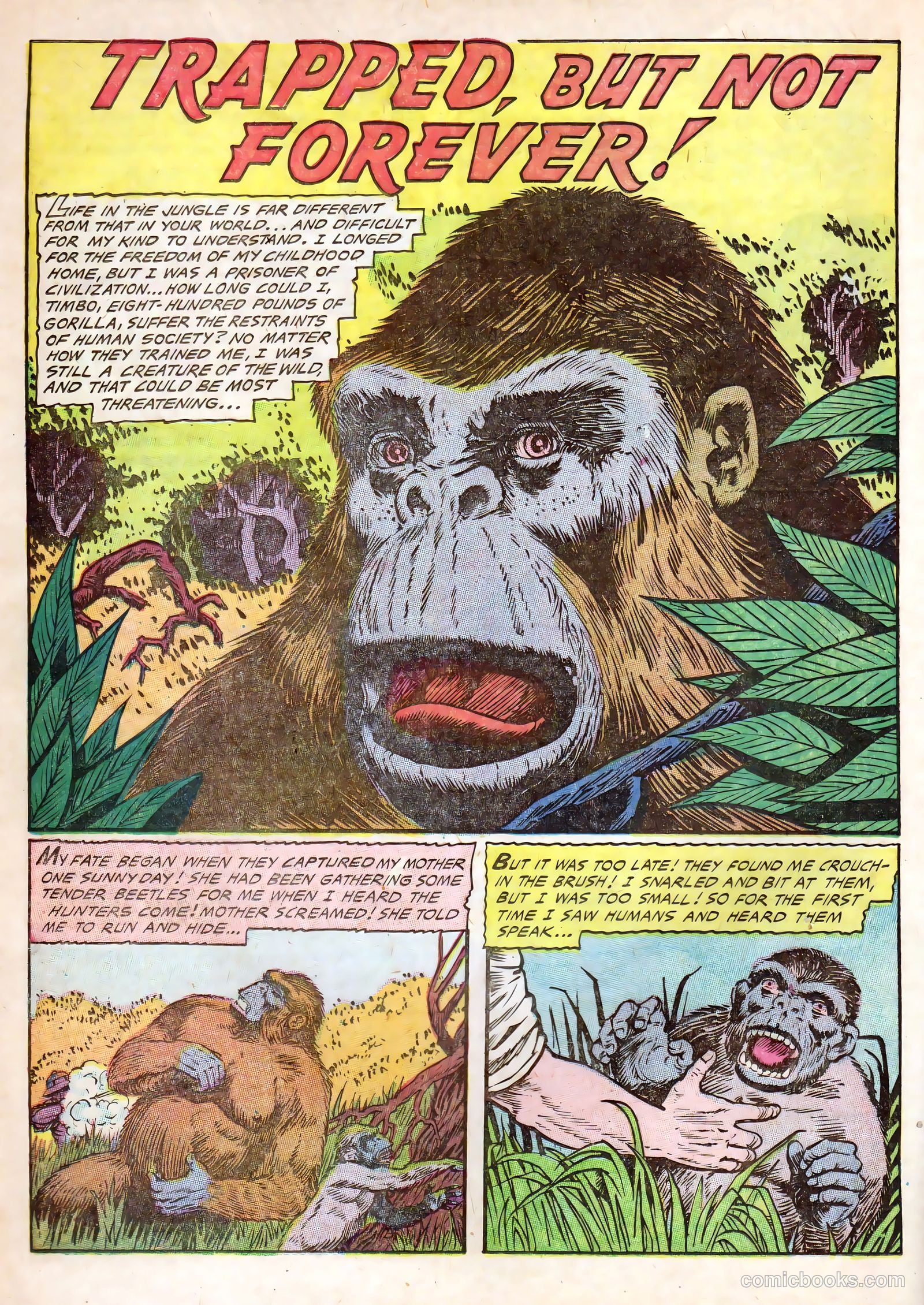 Strange #3 — page 12 of 36