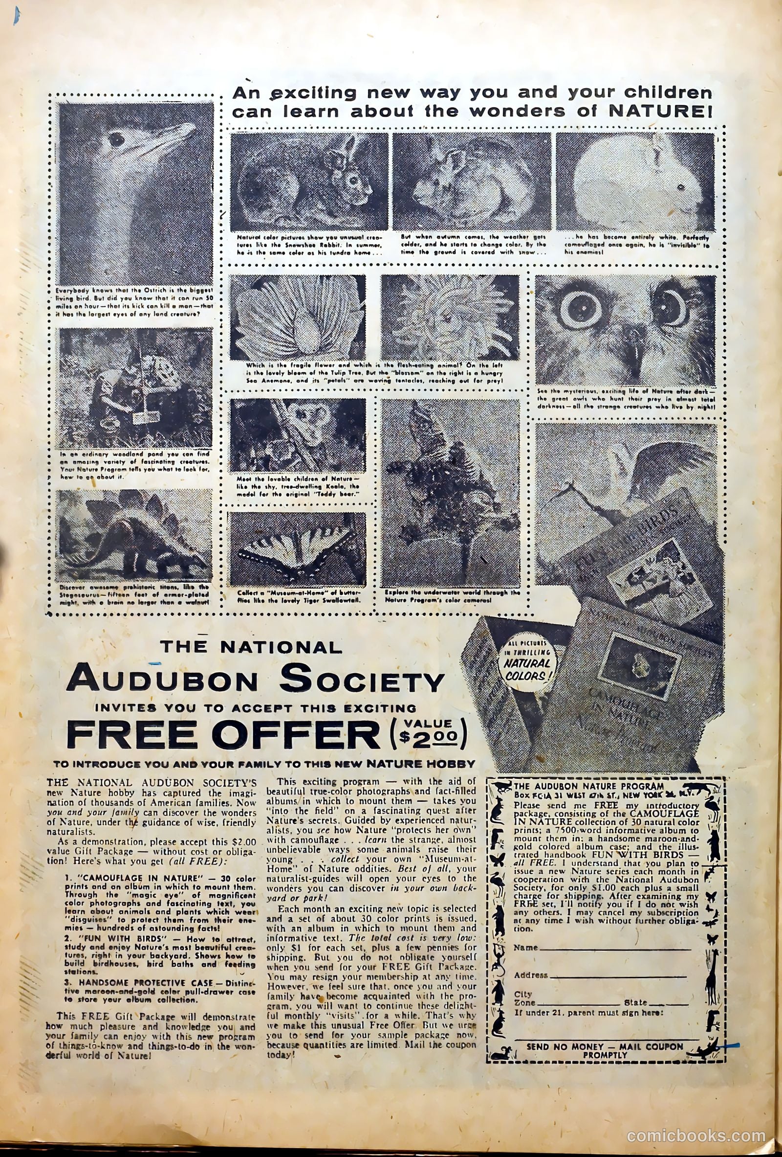 Strange Journey #3 — page 24 of 36