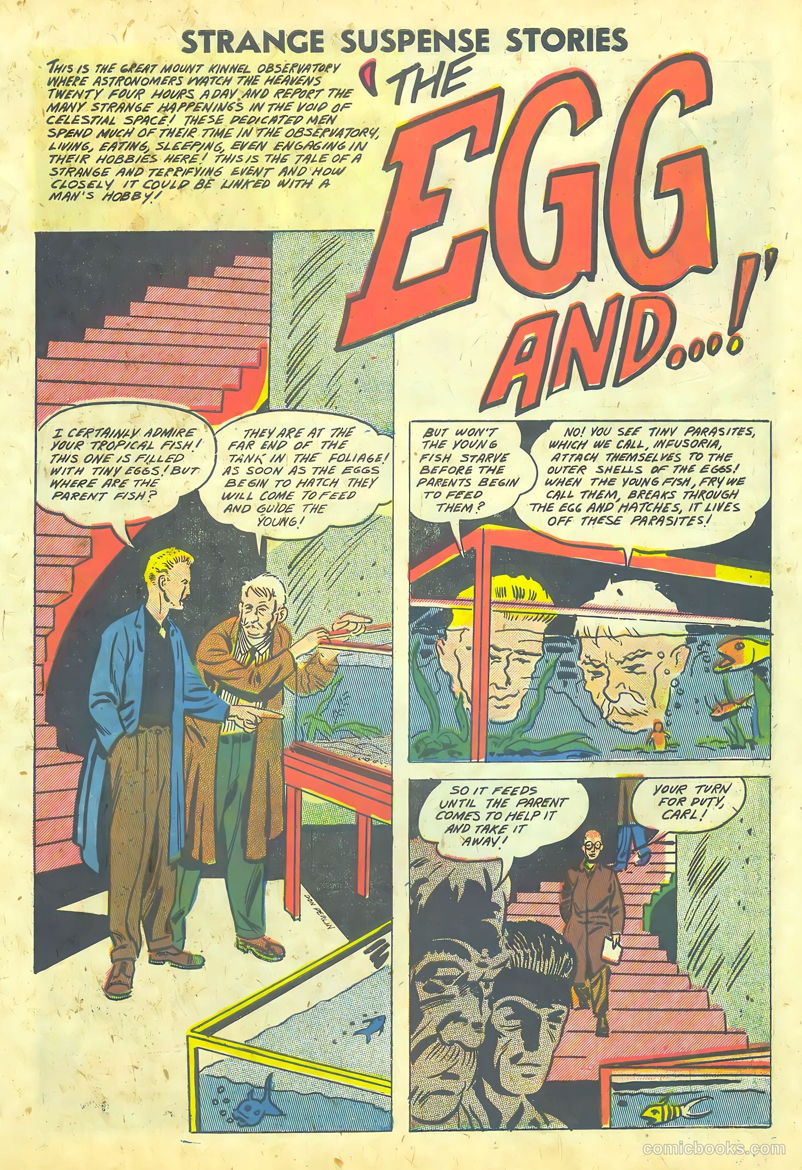 Strange Suspense Stories #36 — page 11 of 68