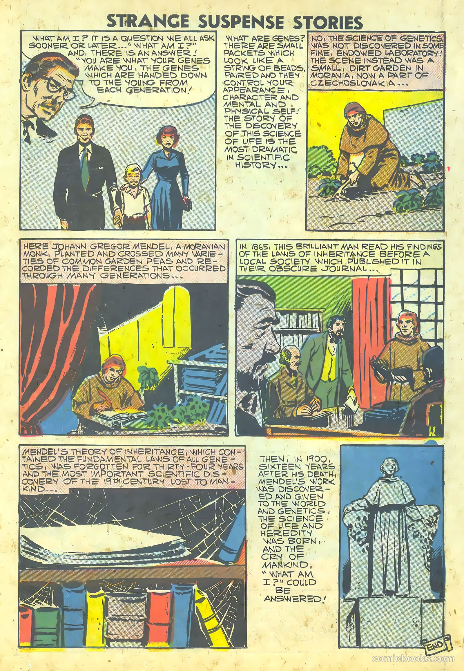 Strange Suspense Stories #36 — page 50 of 68
