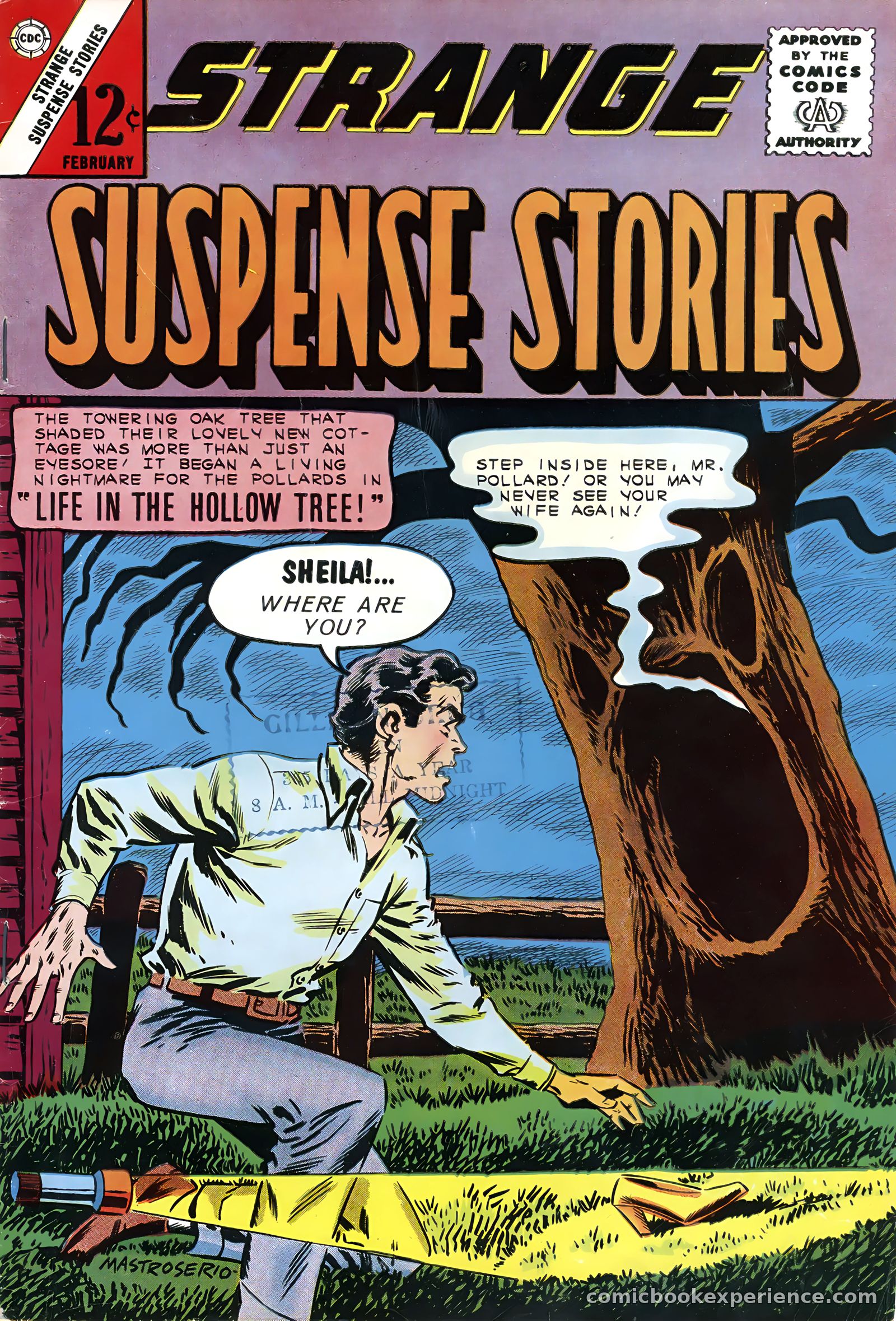 Strange Suspense Stories #63 — page 1 of 36