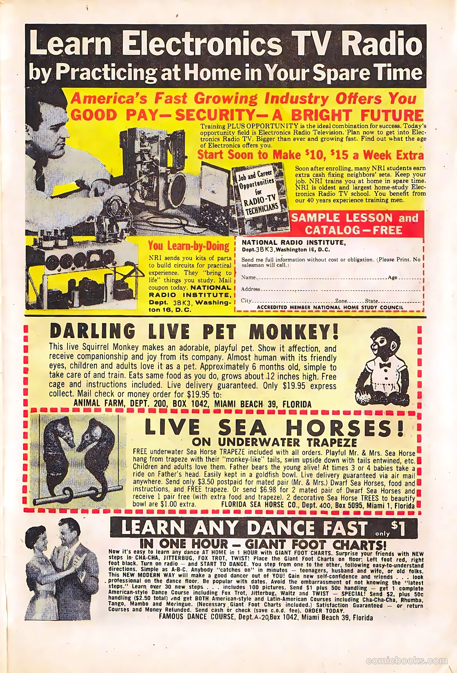 Strange Suspense Stories #65 — page 31 of 36