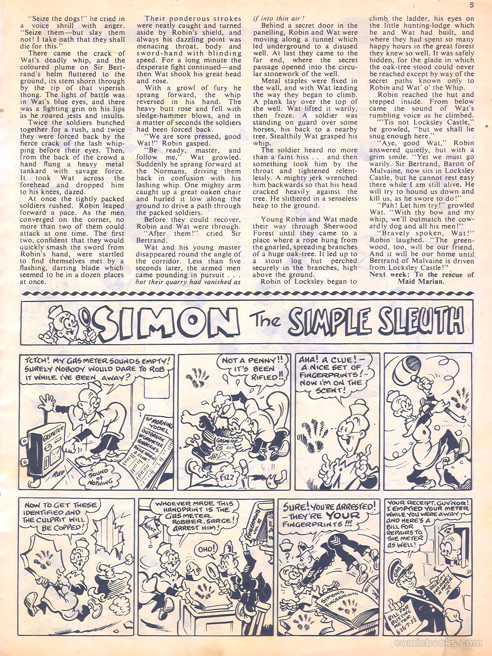 Sun #164 — page 5 of 20