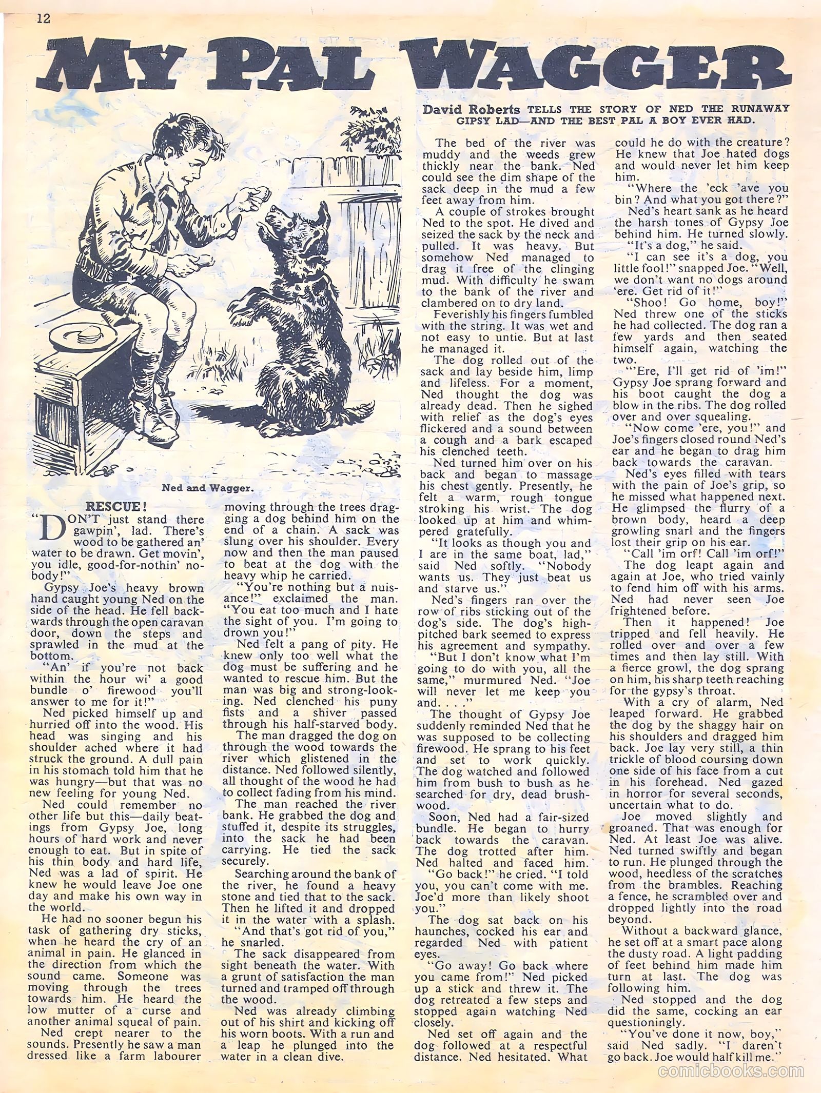 Sun #164 — page 12 of 20